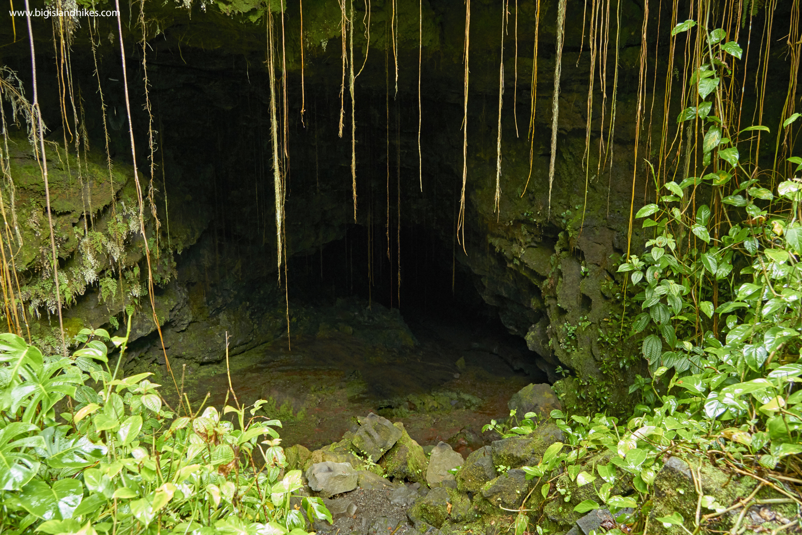 Kaumana Caves State Park