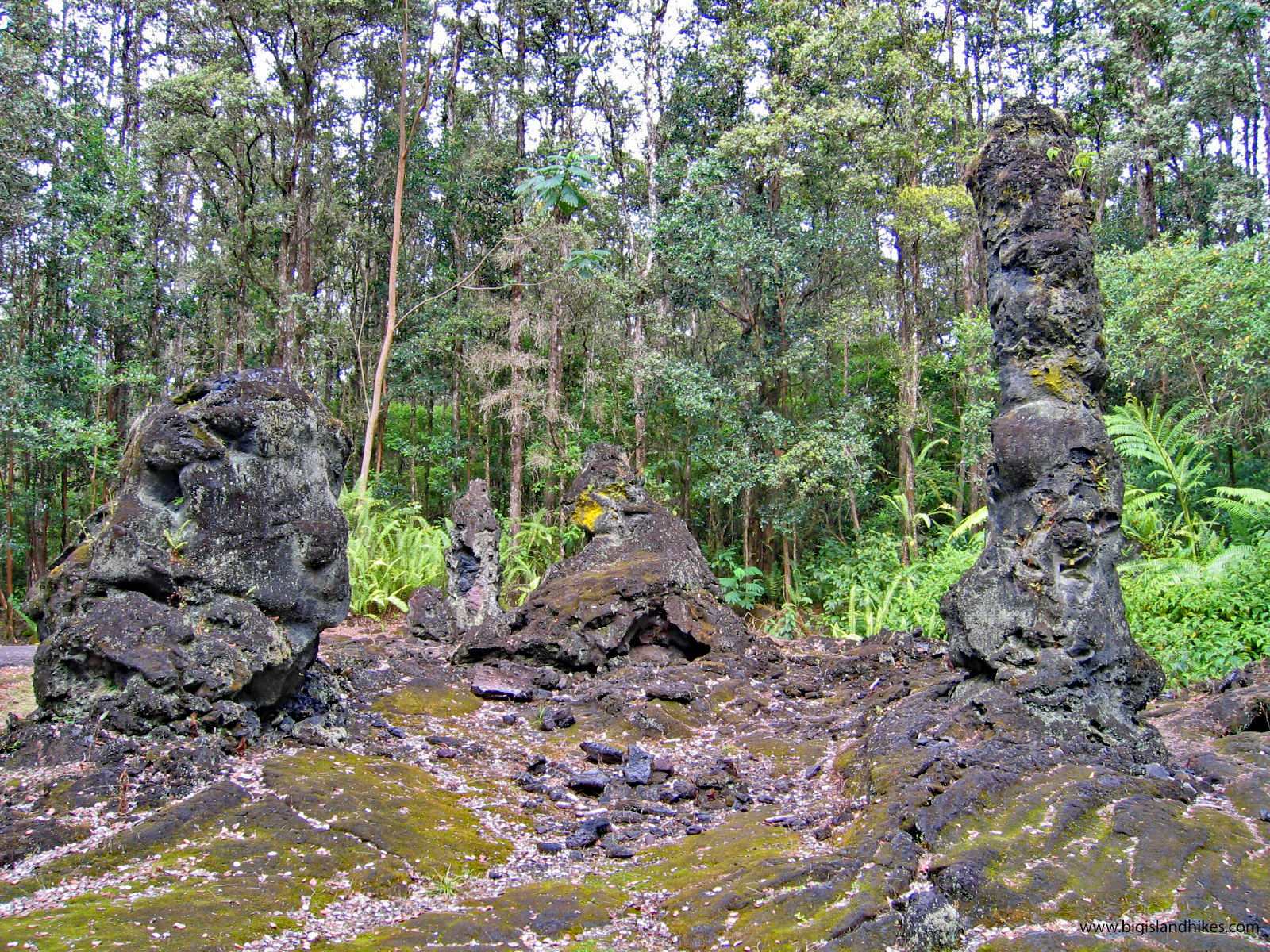 Lava Tree State Monument