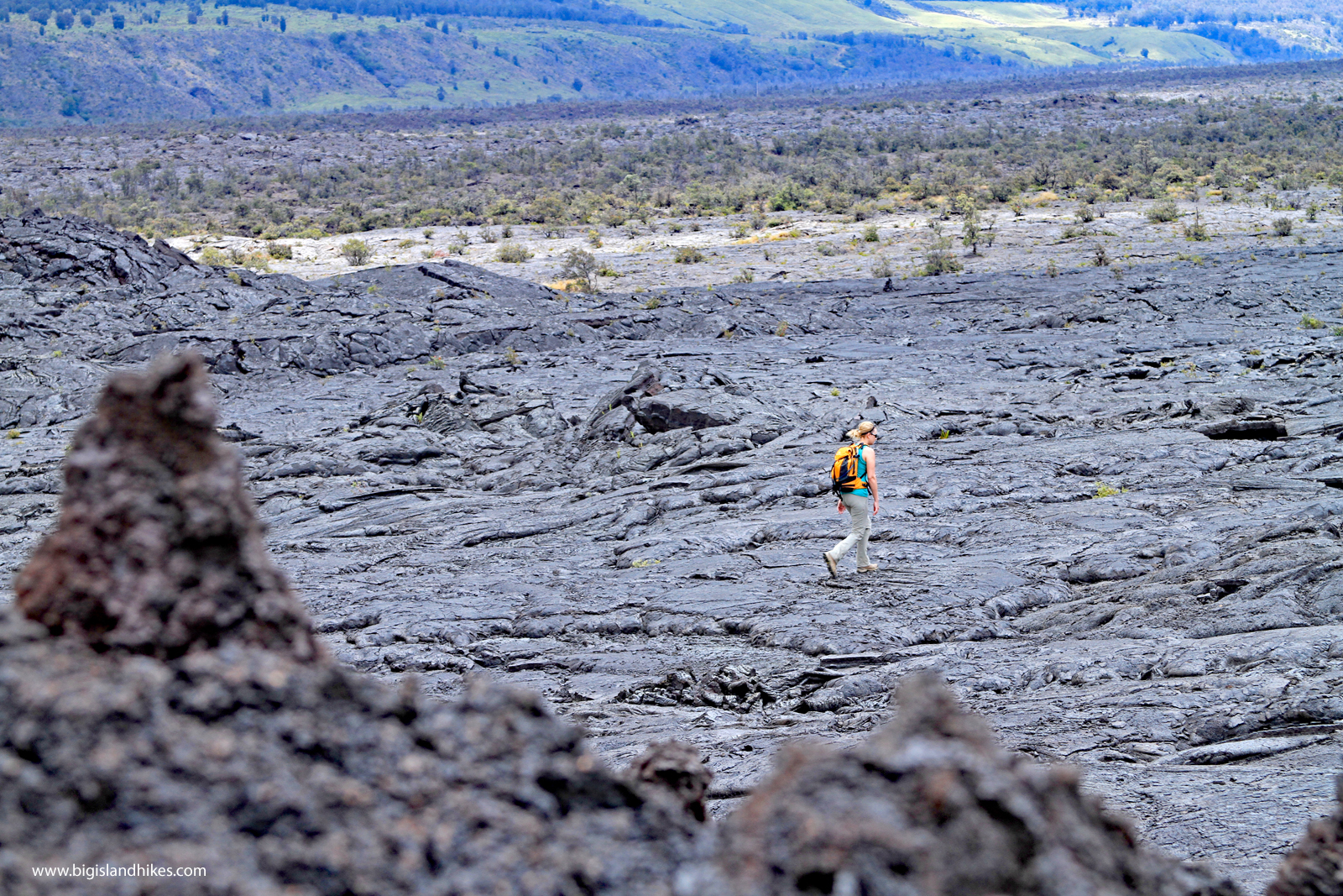 Kaʻū Desert