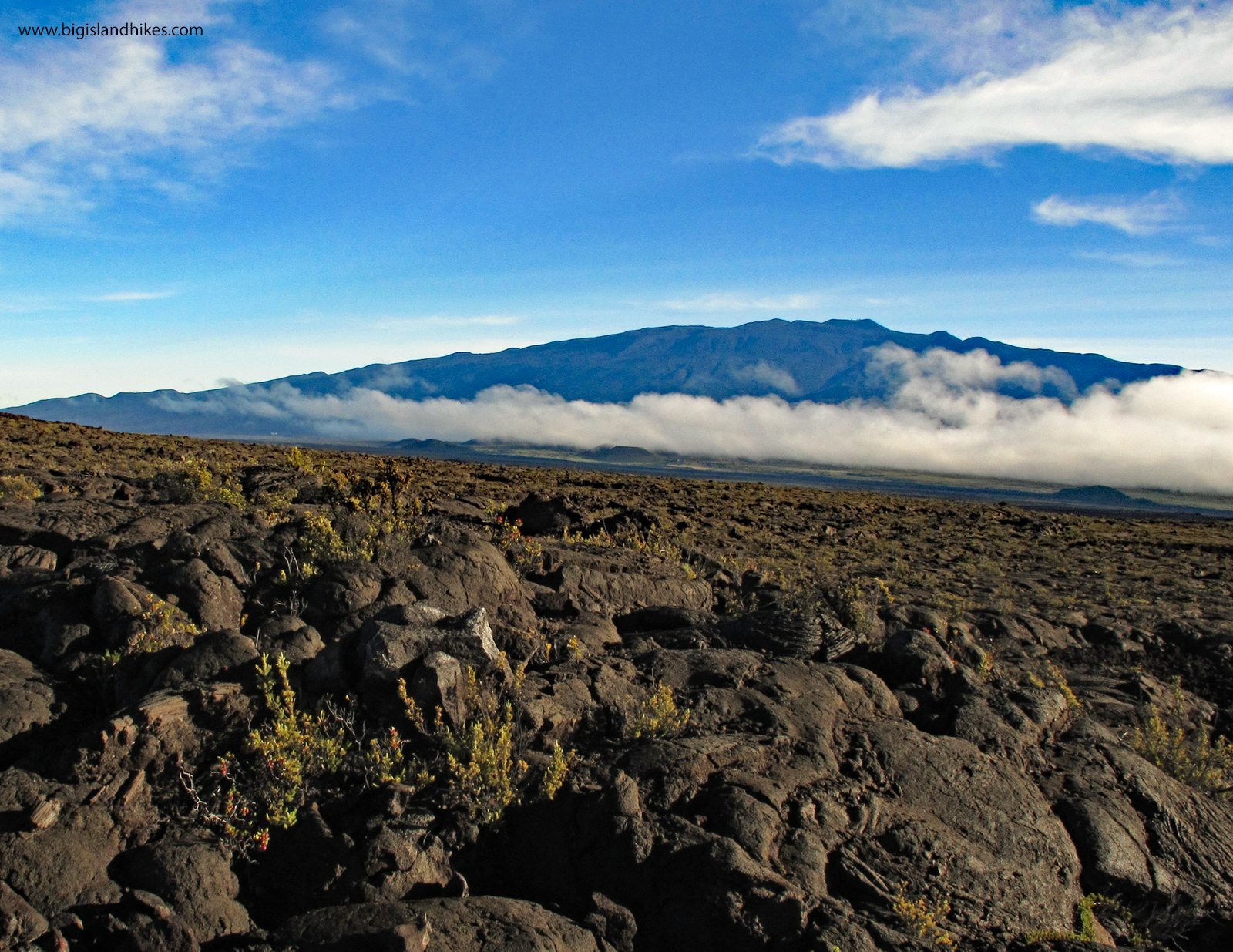 Mauna Loa