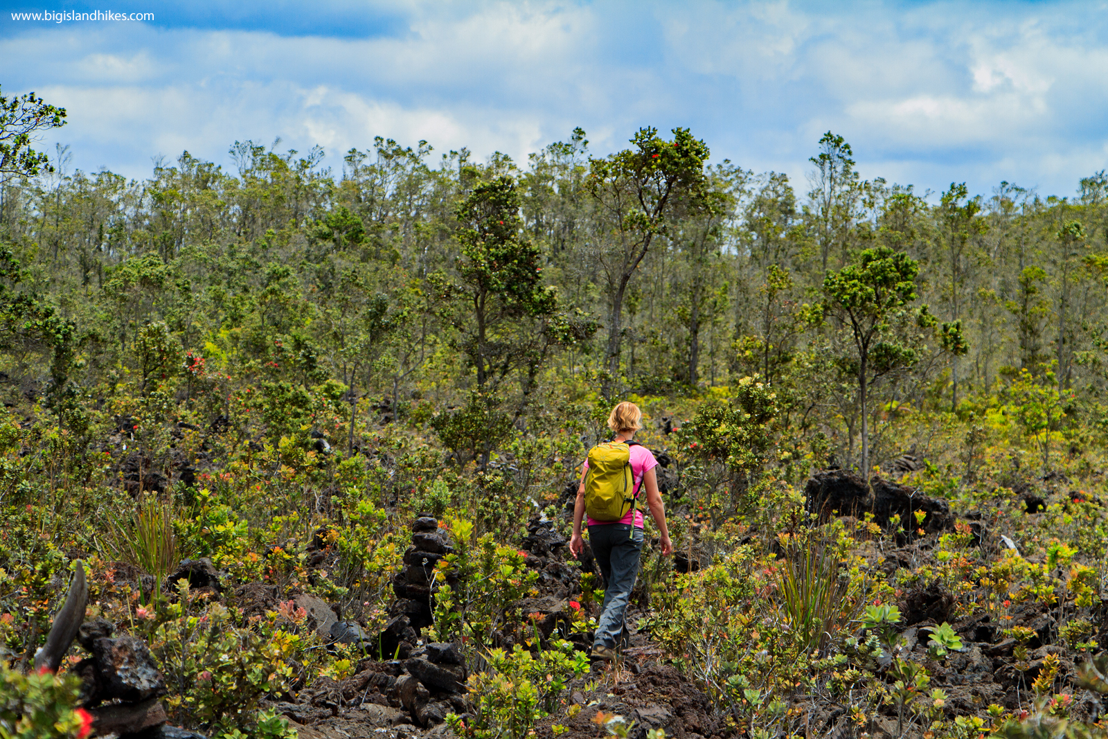 Nāpau Trail