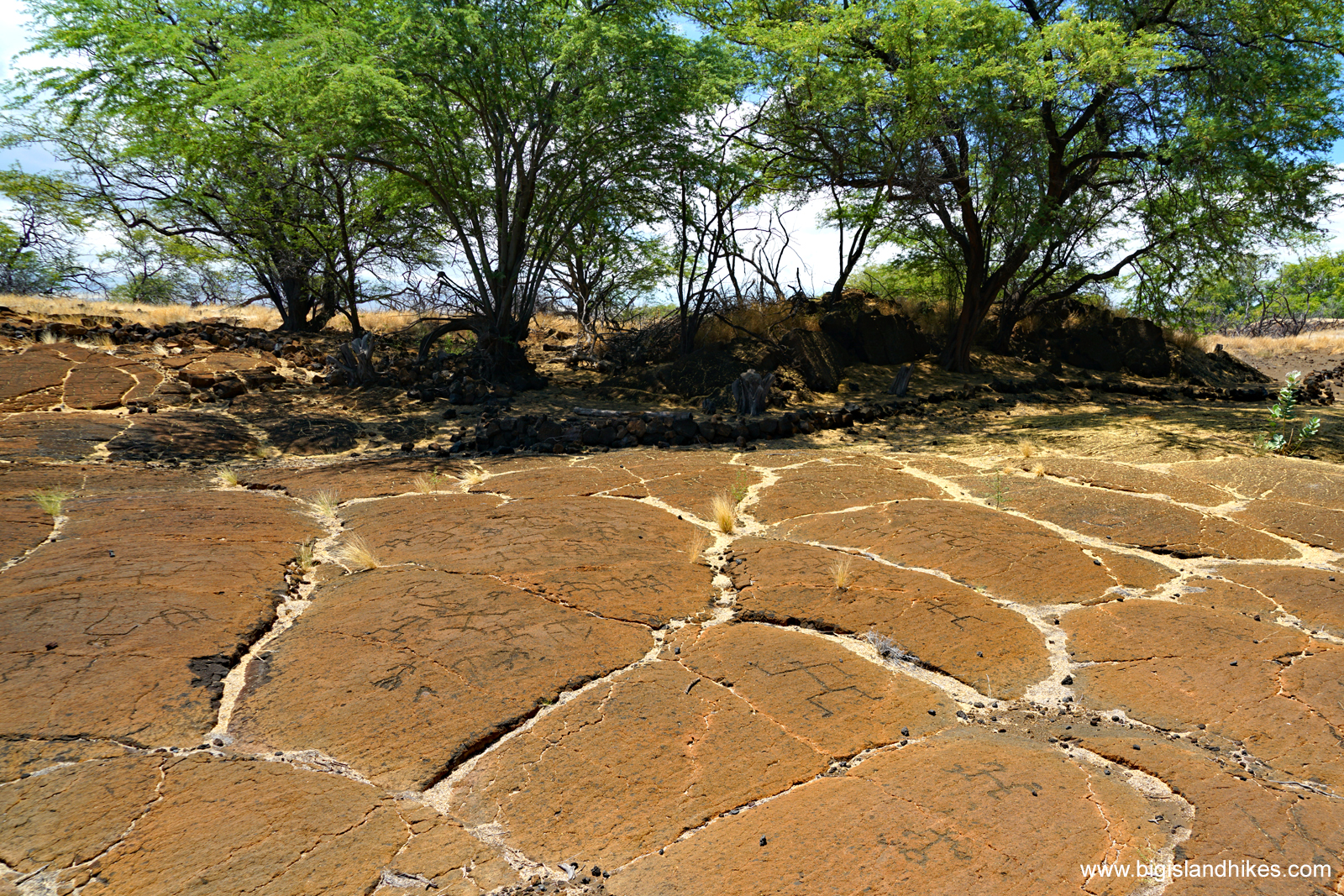 Puakō Petroglyph Archaeological District