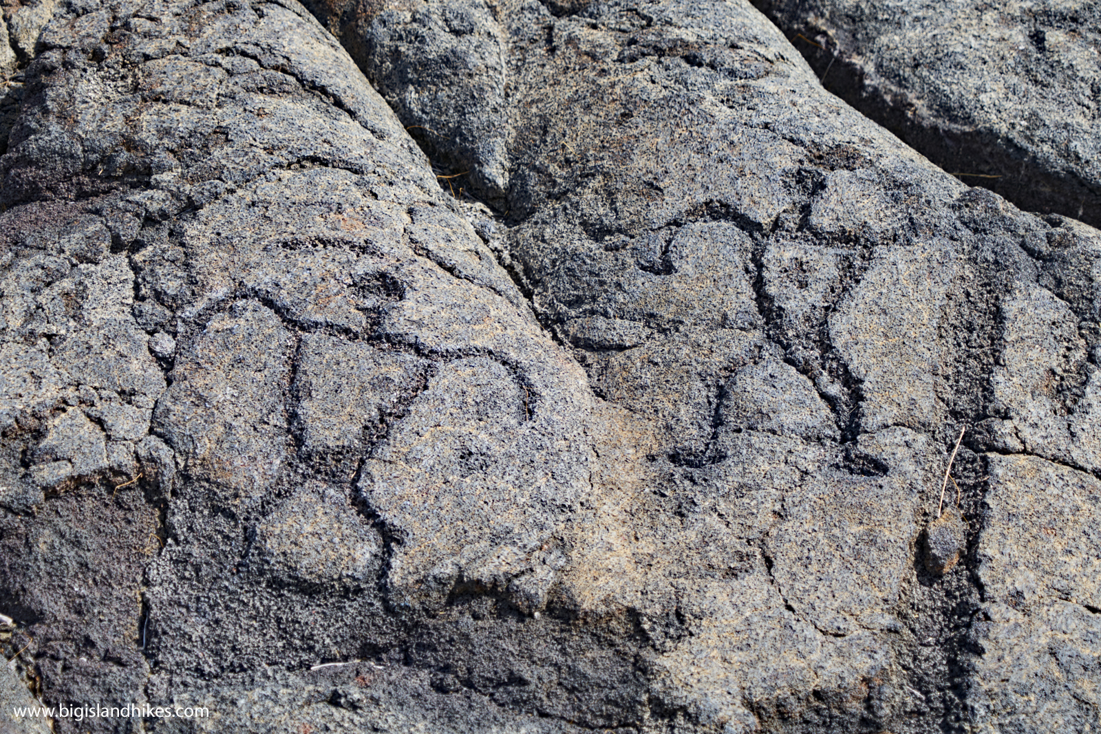 Pu'u Loa Petroglyphs