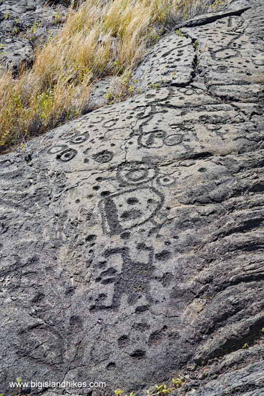 Pu'u Loa Petroglyphs