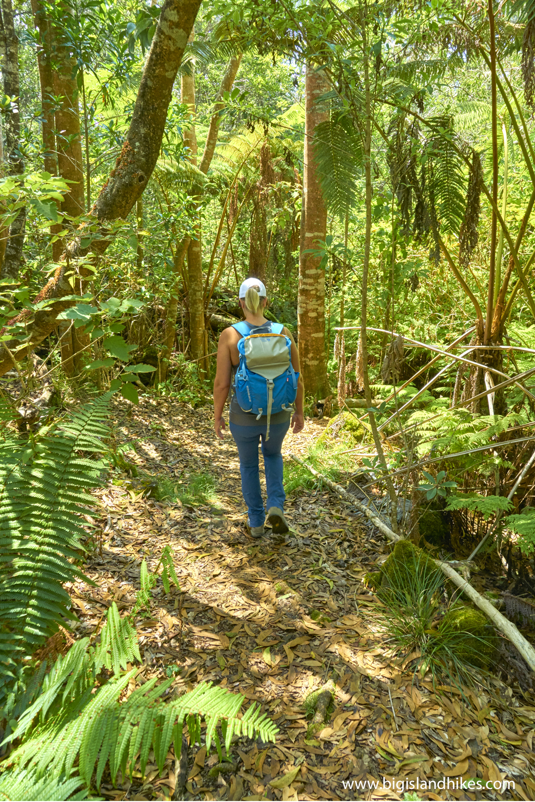 Puʻu ʻŌʻō Trail