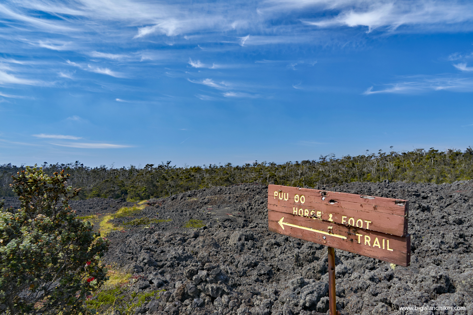 Puʻu ʻŌʻō Trail