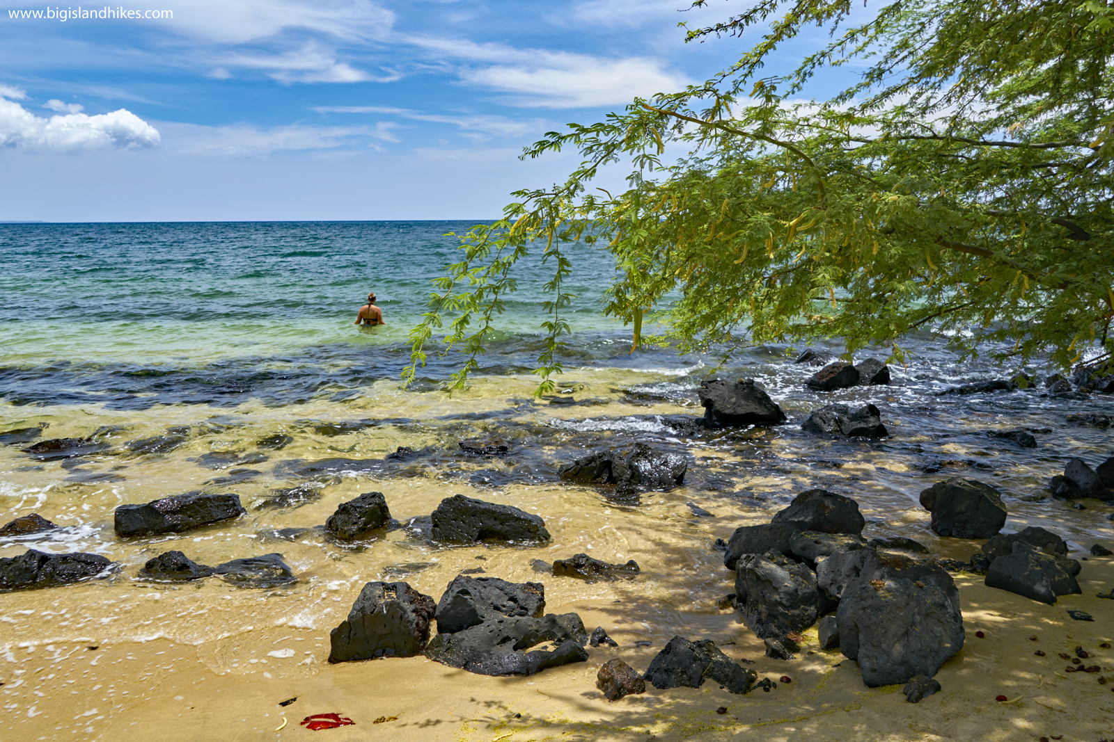 Spencer Beach Park