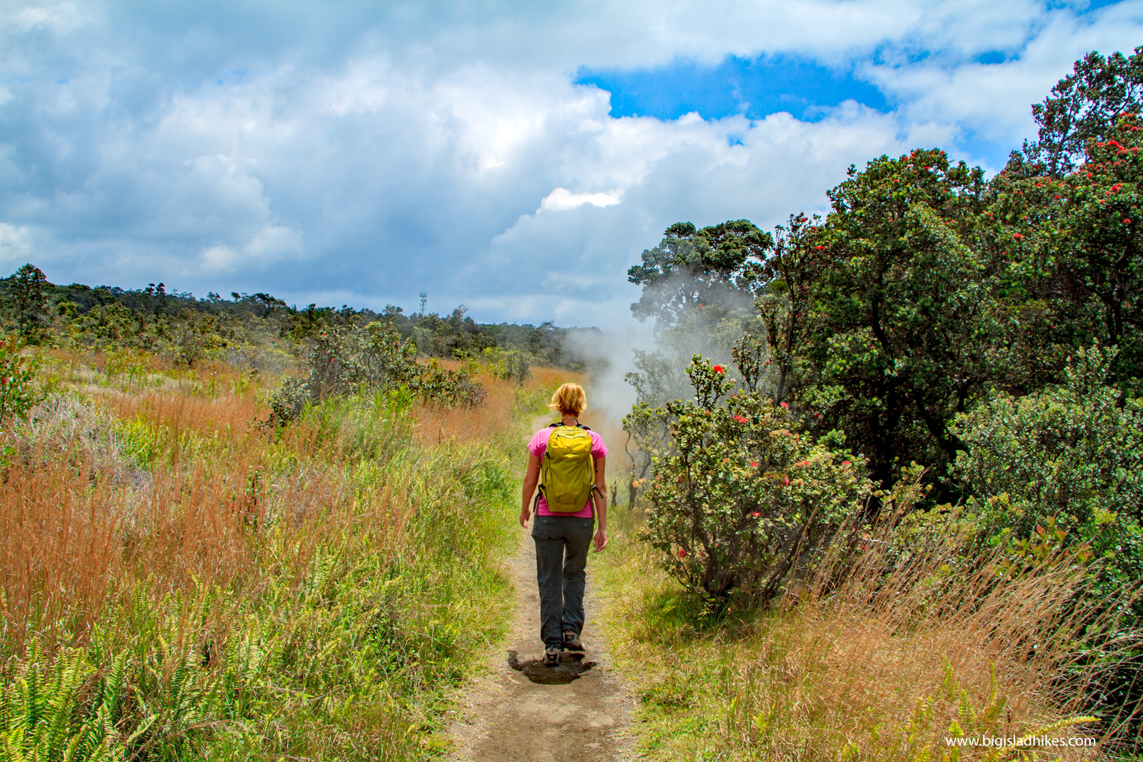 Steam Vents 