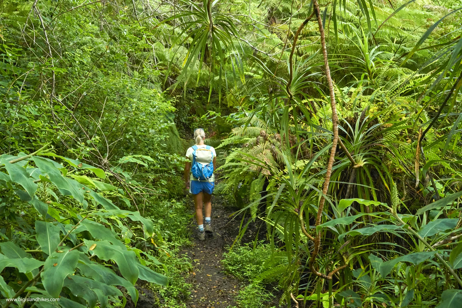 makaula ooma trail.jpg