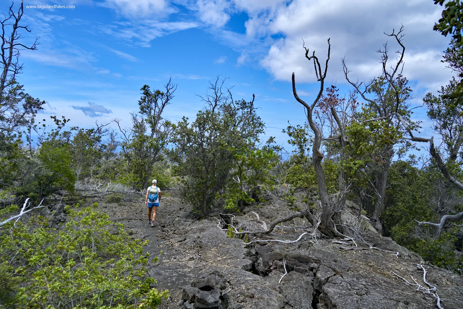 kaheawai trail hike.jpg