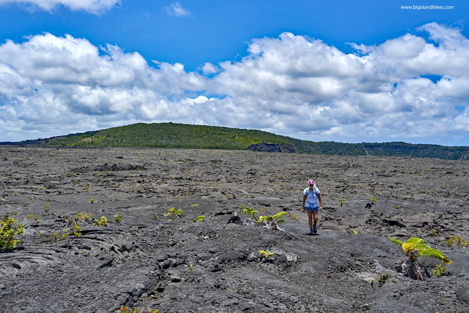 Nāpau Trail