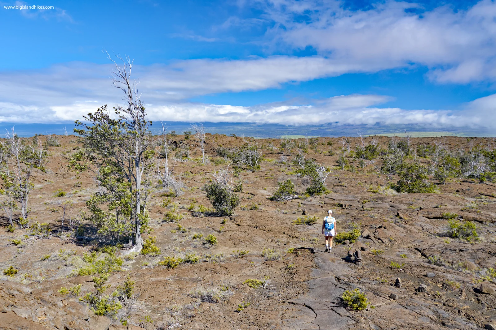 mauna iki trail from hilina pali road hike.jpg