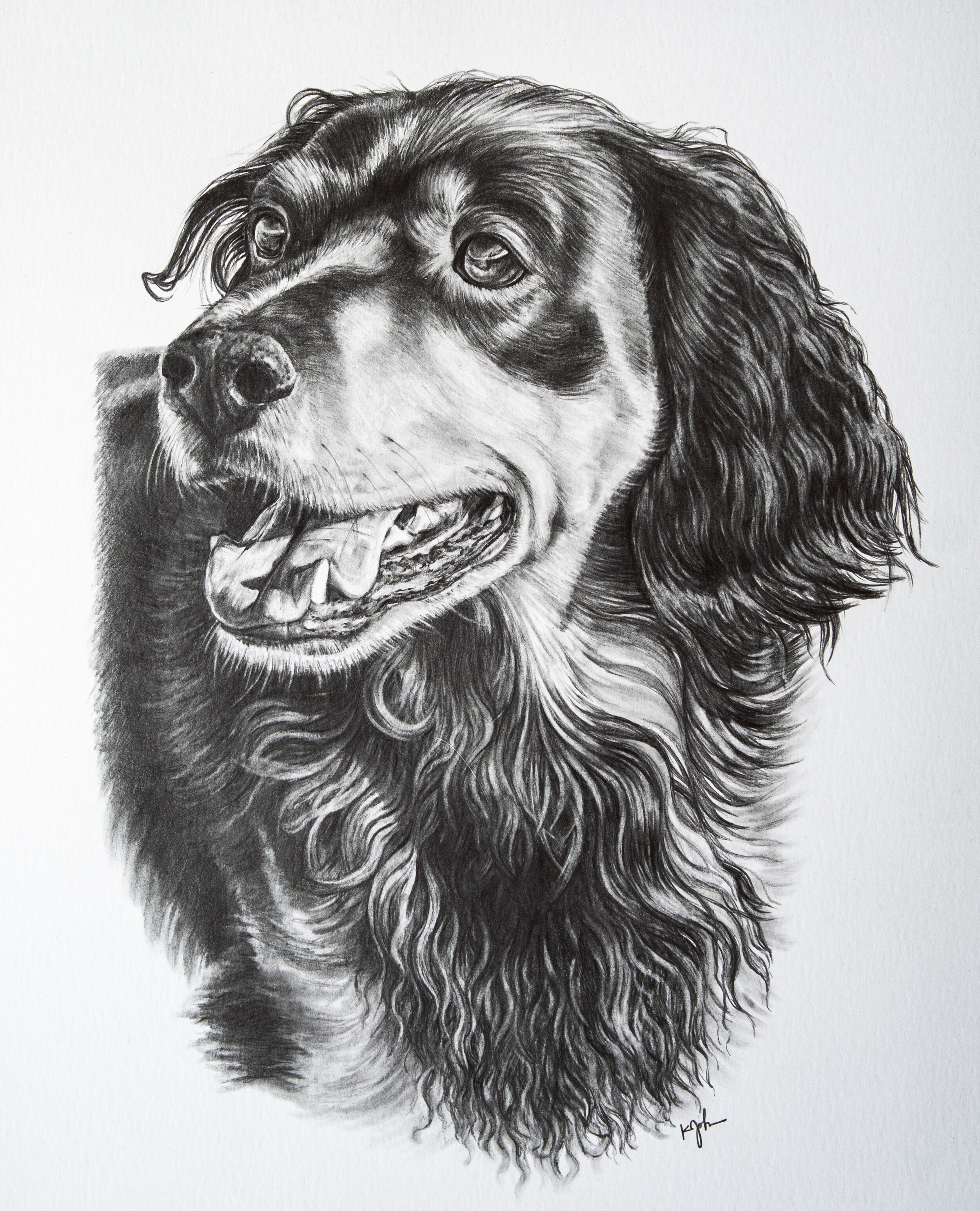 "Finnegan" commission 