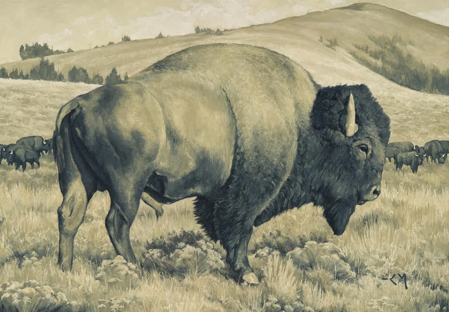 New painting! &ldquo;Big Lonesome&rdquo; 30x46 oil on linen. He&rsquo;s big, bold, and will make you feel like you&rsquo;re out on Montana&rsquo;s vast beautiful prairie. This piece is sold 🔴 but will be on display at The Studio Gallery for a bit, c