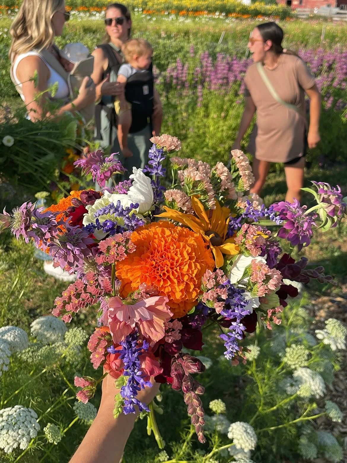 Summer 25 post-Alaska. Feeling so loved, nourished, adventurous, and fulfilled. Filling every day with deep work, inspiration, great people, and the magic of a Montana Indian summer. I&rsquo;ll carry the warmth of these days as we move into cooler we