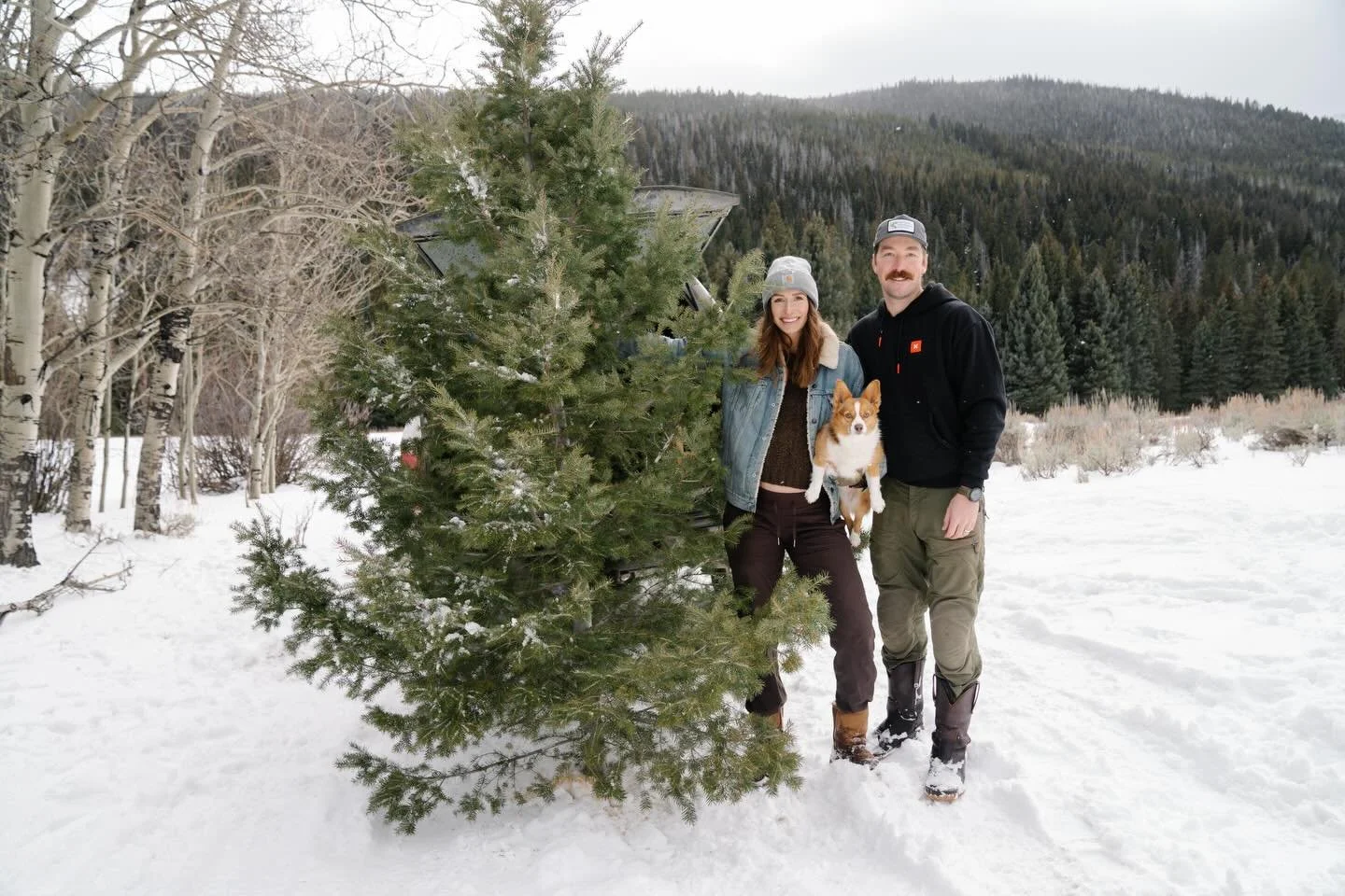 Merry Christmas and Happy New Year! Xoxo The Morris Fam 🫶🏼🎄❤️