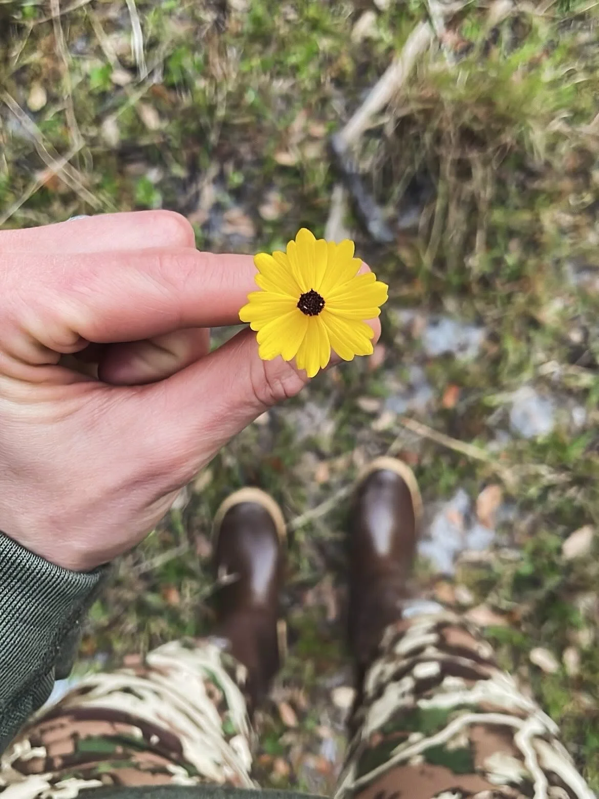 When I was six weeks pregnant, early on, I dreamt of a young man. He and I sat on a park bench arm in arm, my head on his shoulder. He was in his early twenties, younger than I. From this boy emanated a great light, and people came smiling from all a