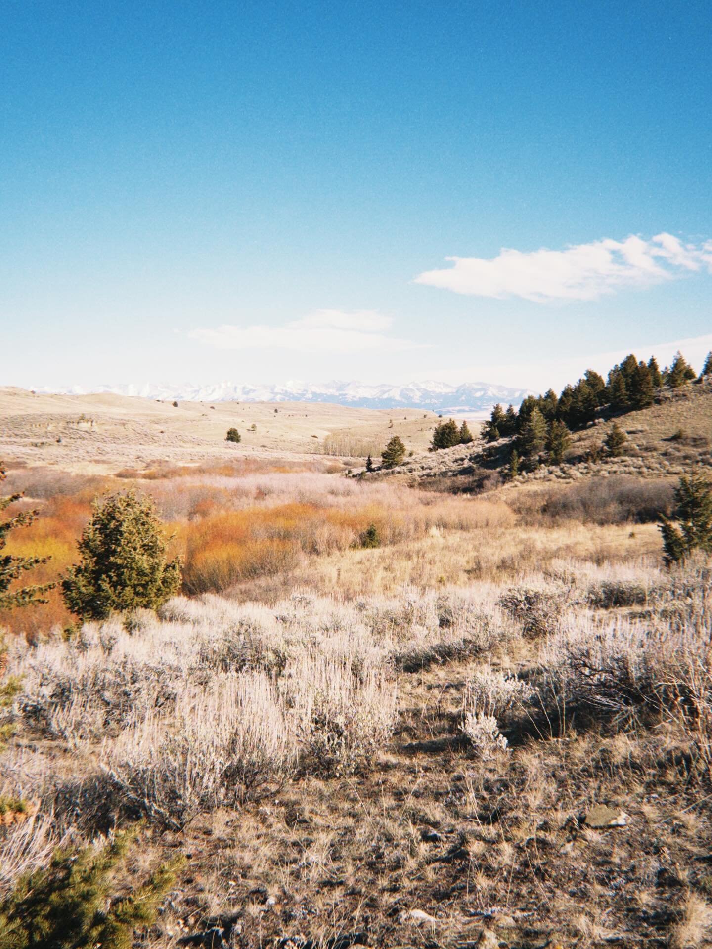 Soaking up Montana&rsquo;s mild winter, micro adventures, good long sits at the easel, and our last days as &ldquo;just us&rdquo; 💛