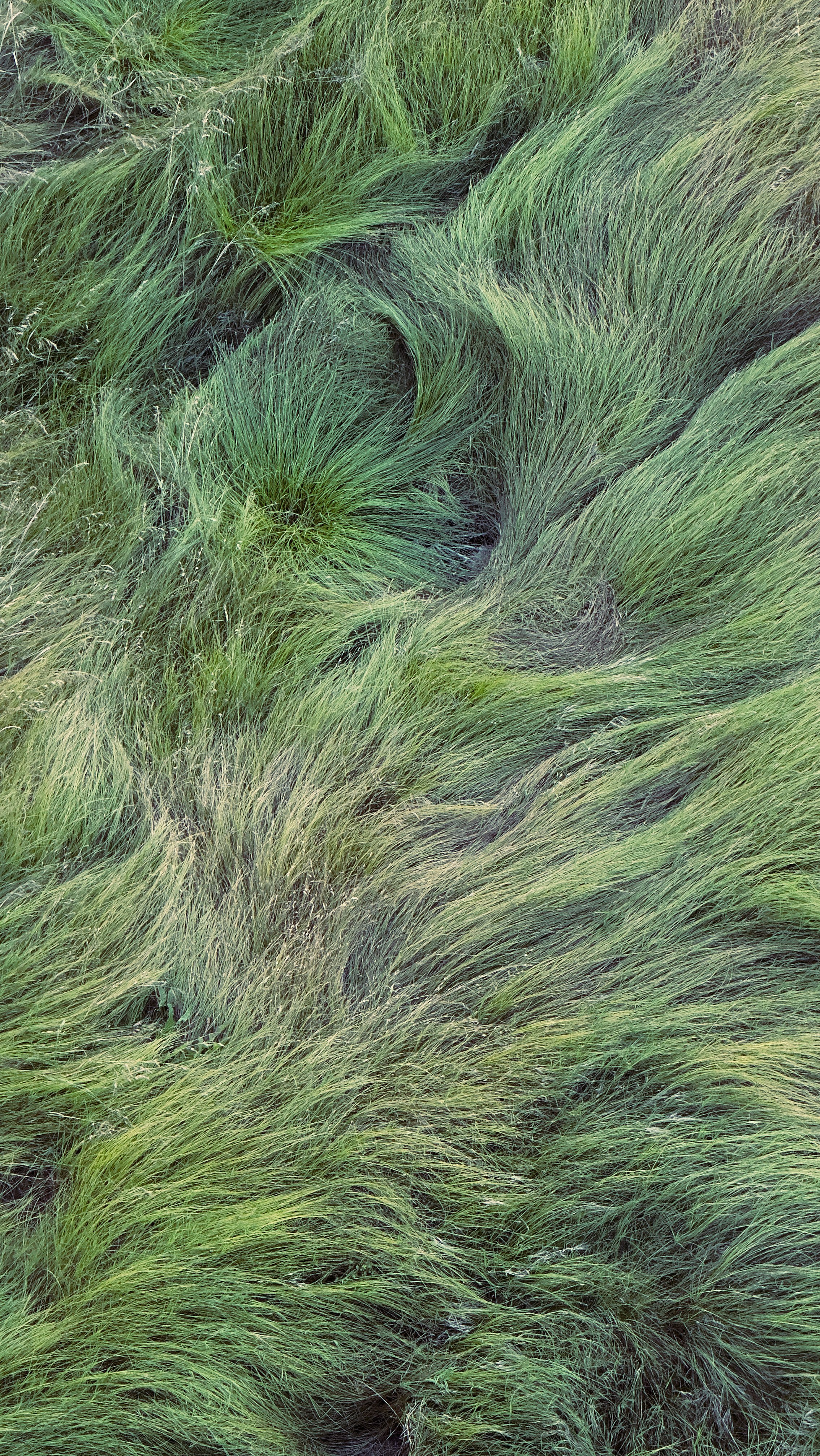 Inherent, Unconditional Worthiness