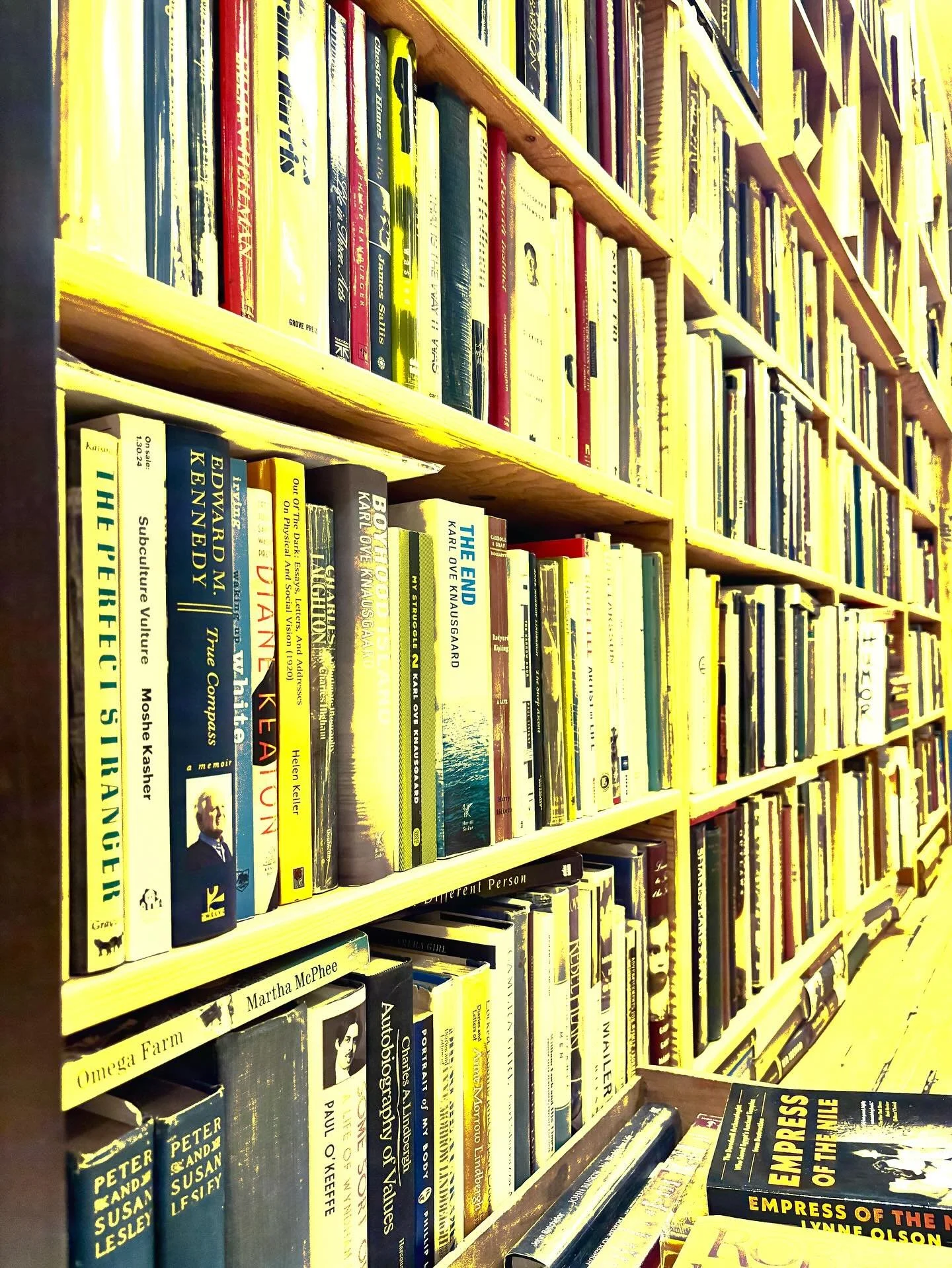 Man, that sunlamp is just paying for itself today. 
#dogtownbooks #usedbooks #usedbookstore #shopindiebookstores #saveindiebookstores #bibliophile #bookstagram #bookcollector #cool #bookish #vintagebook #antiquebooks #bookworld #readmore #instalike