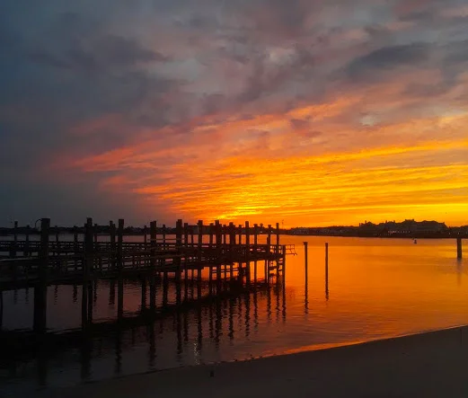 “Sunset Park, As Advertised” / Photography by Cassidy Ayers