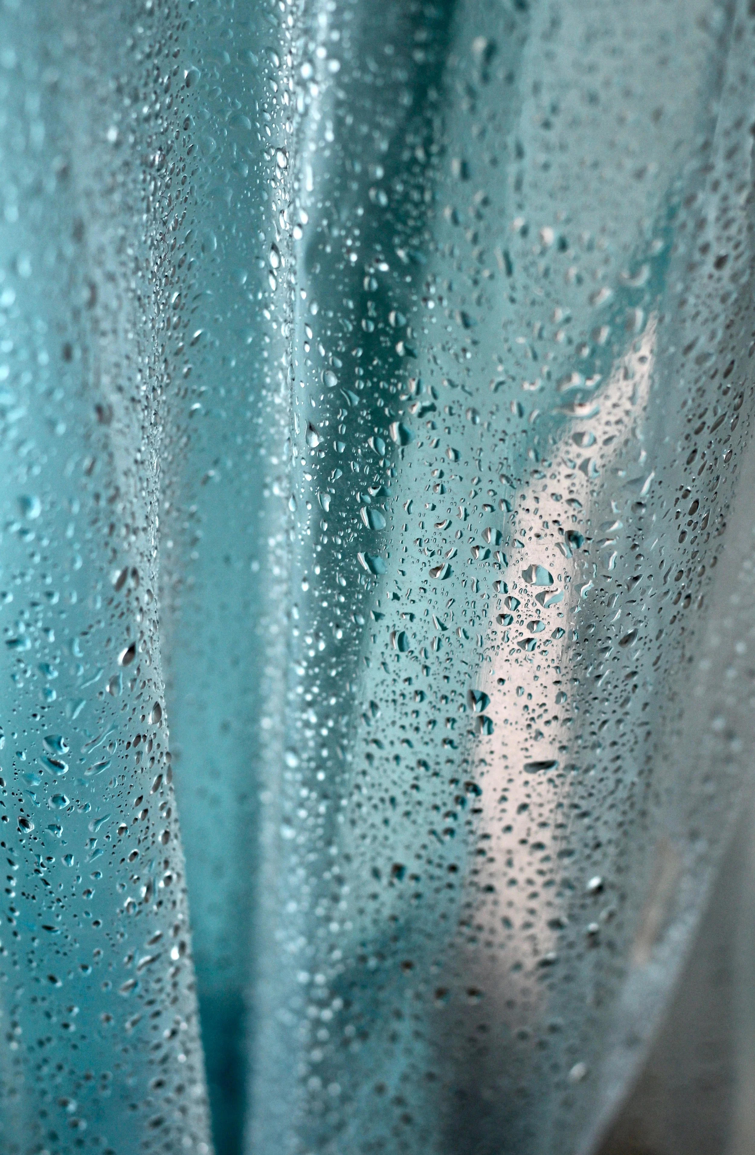 “Post Spray” / Cara Roets