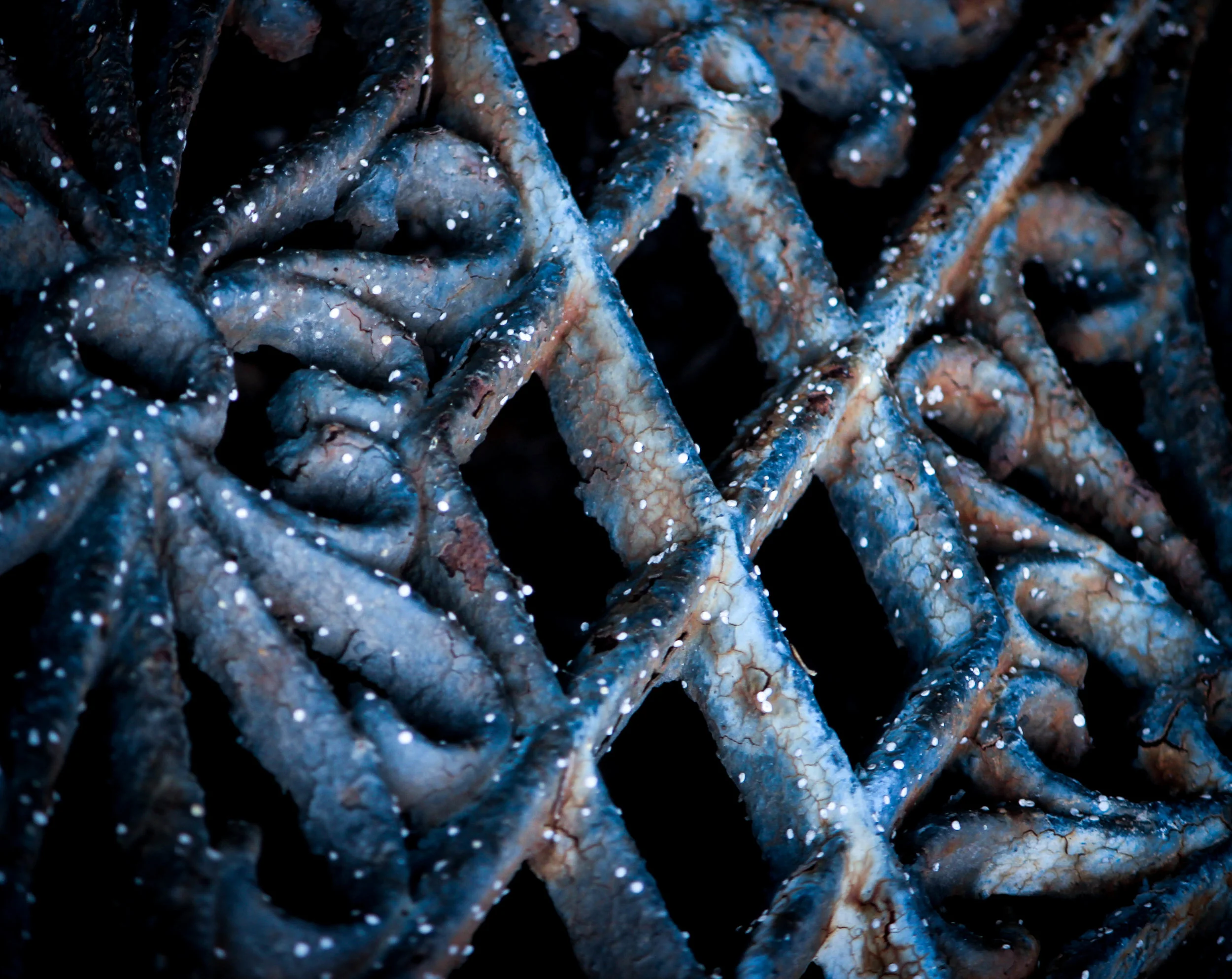 “Winter Gates” / Photography by Aaron Speight