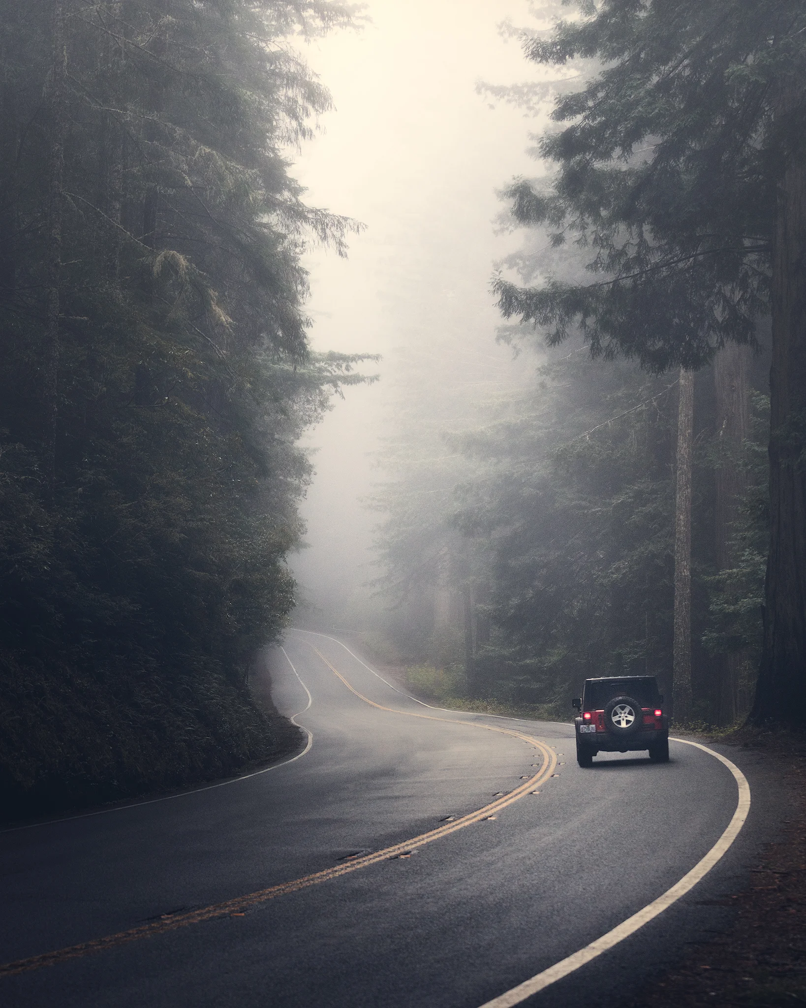 Jeep-Driving-In-The-Redwoods_May12_242pm._web.jpg