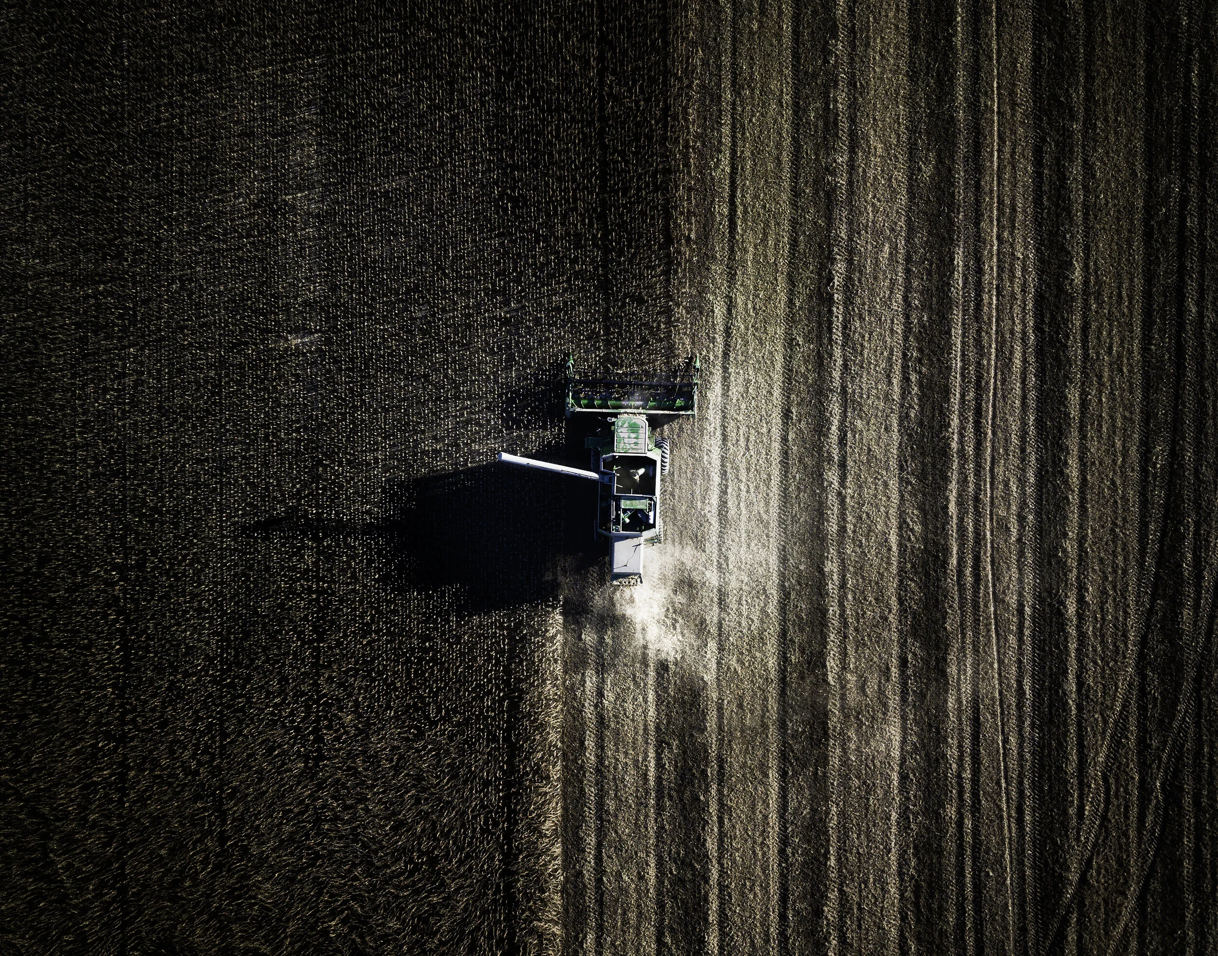 Fall_Harvest_RC_Gallery_Night_Print.jpg