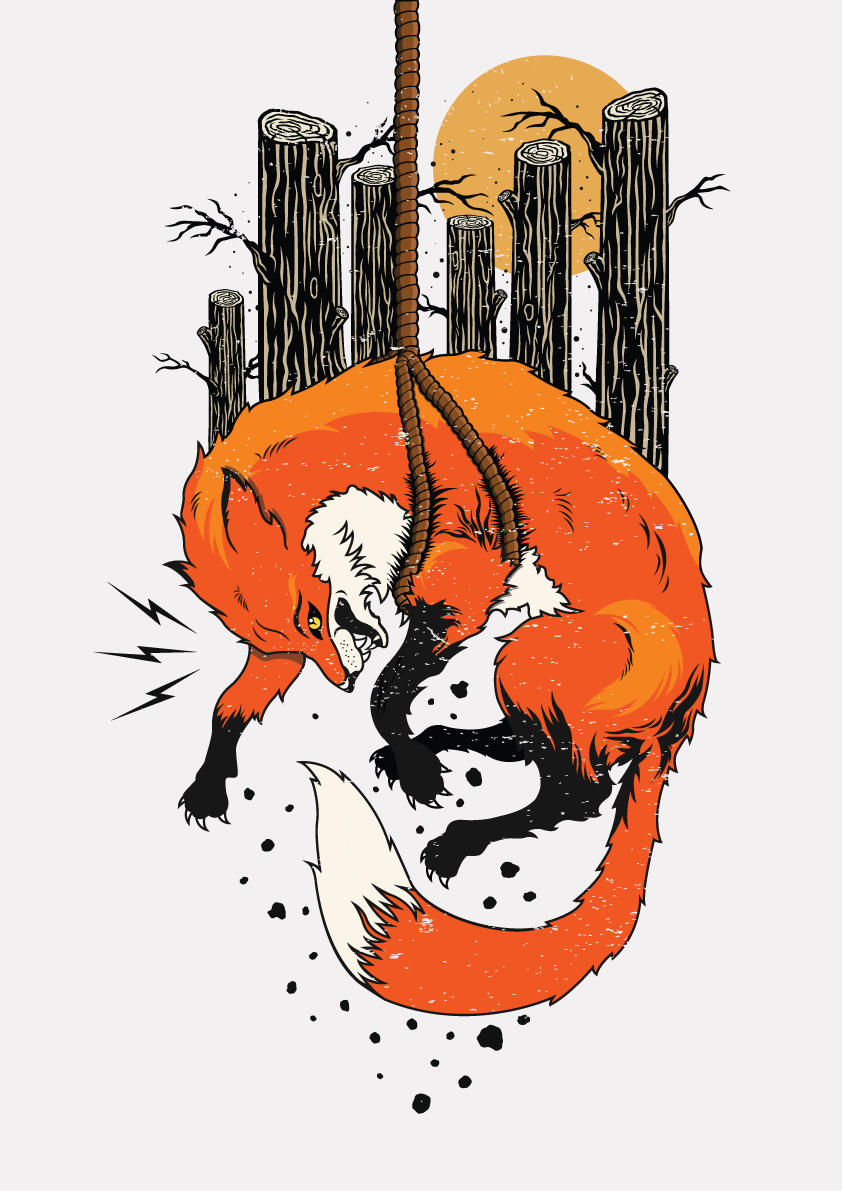 fox.png