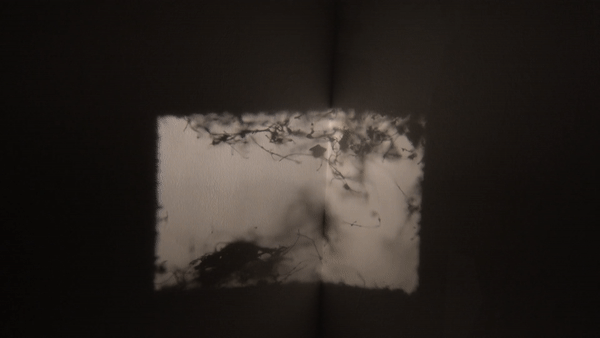 ezgif.com-video-to-gif (5).gif