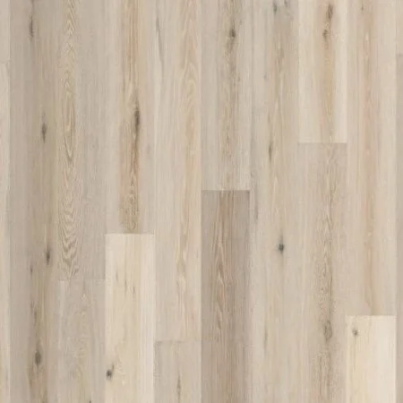 Nuvelle_Sea_Harbor_Abalone_pattern2.jpg
