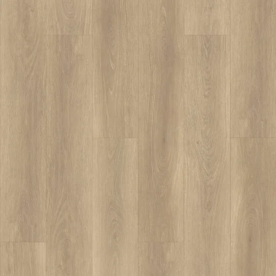 Bold-Oak-LY-jpg.jpg