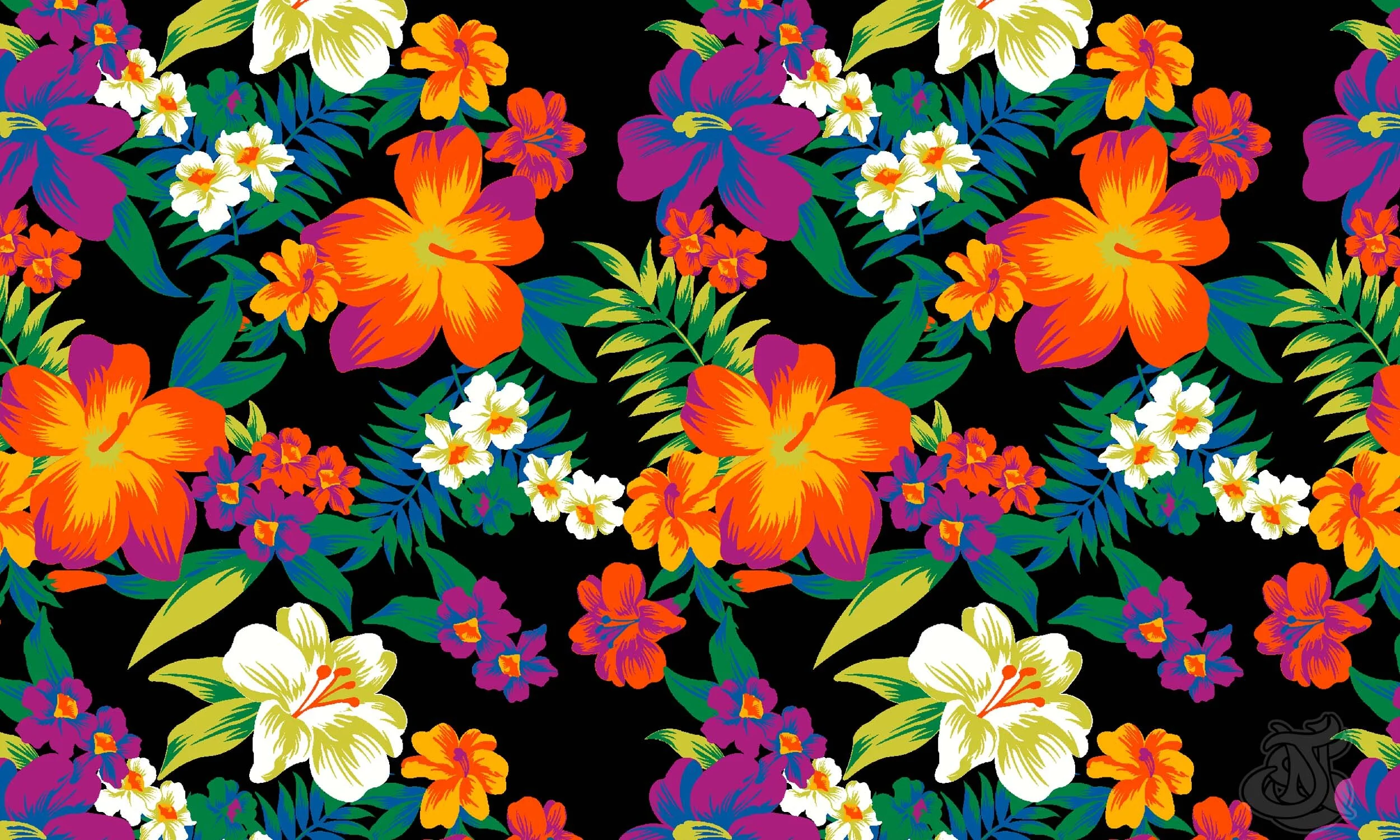 squarespace_web pho_image_38.png