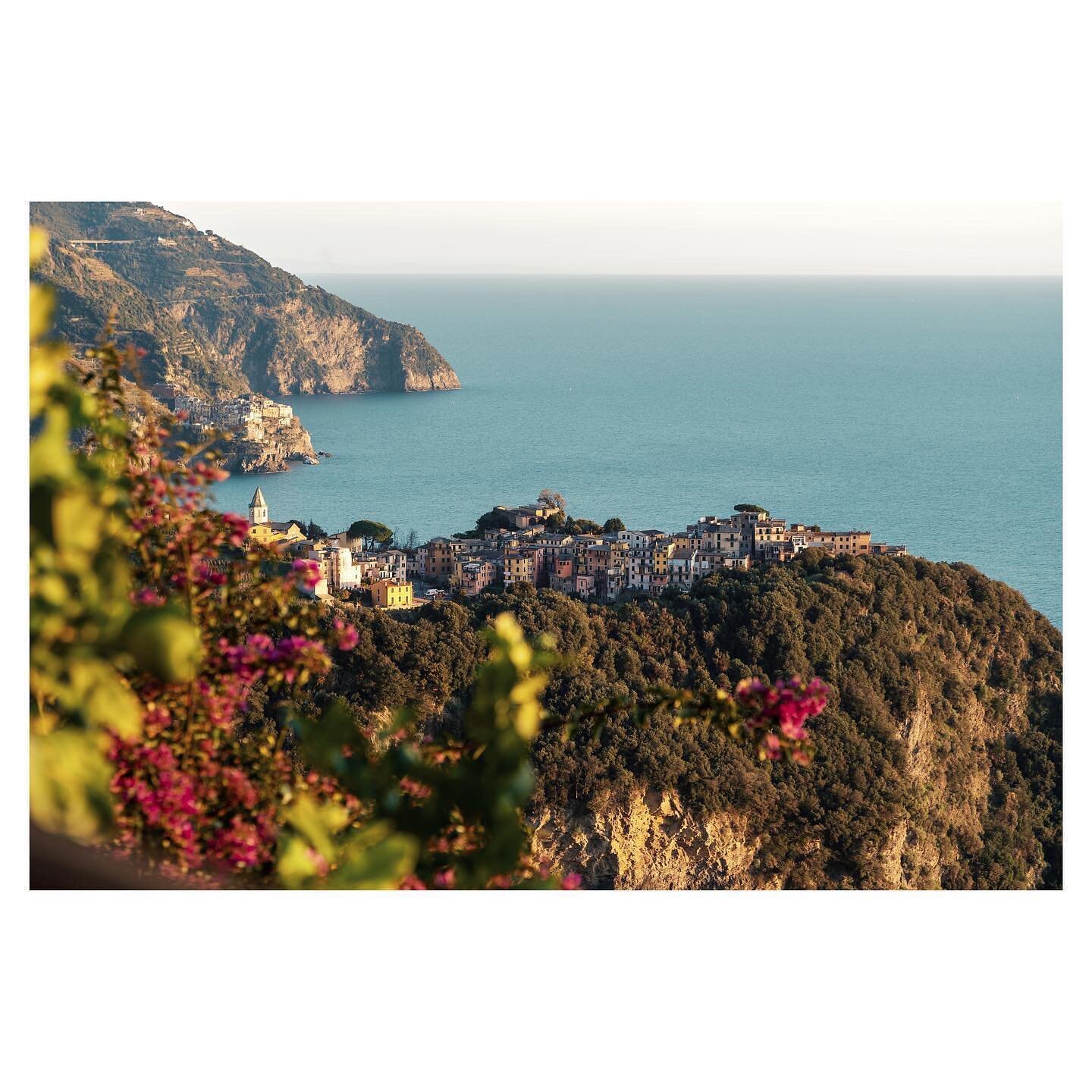 small -&gt; far away
.
.
.
#sun #town #water #sea #ocean #reflection #goldenhour #italy #cinqueterre #mediterranean #vernazza #roadtrip #genoa #luca #travel #nature #hike #landscape #mountains #cliffs #westcoast #port #trail #flowers #gominimalmag #s