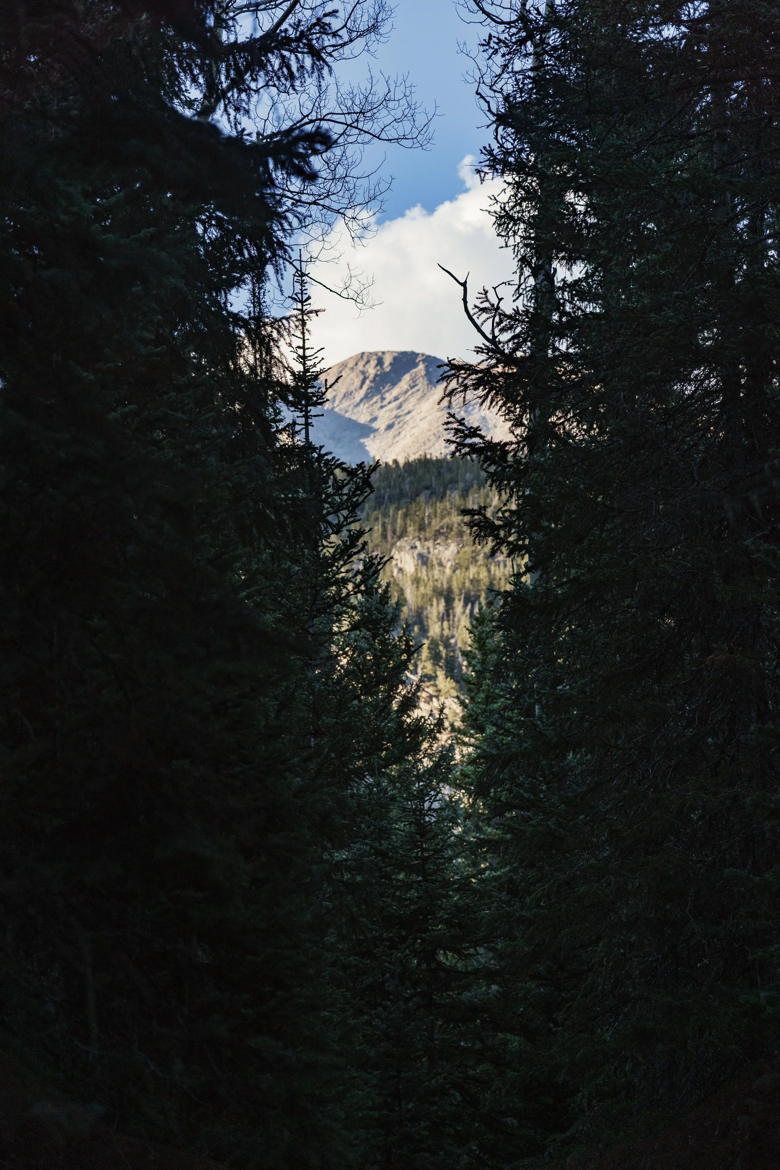 Peak-a-boo (Copy)