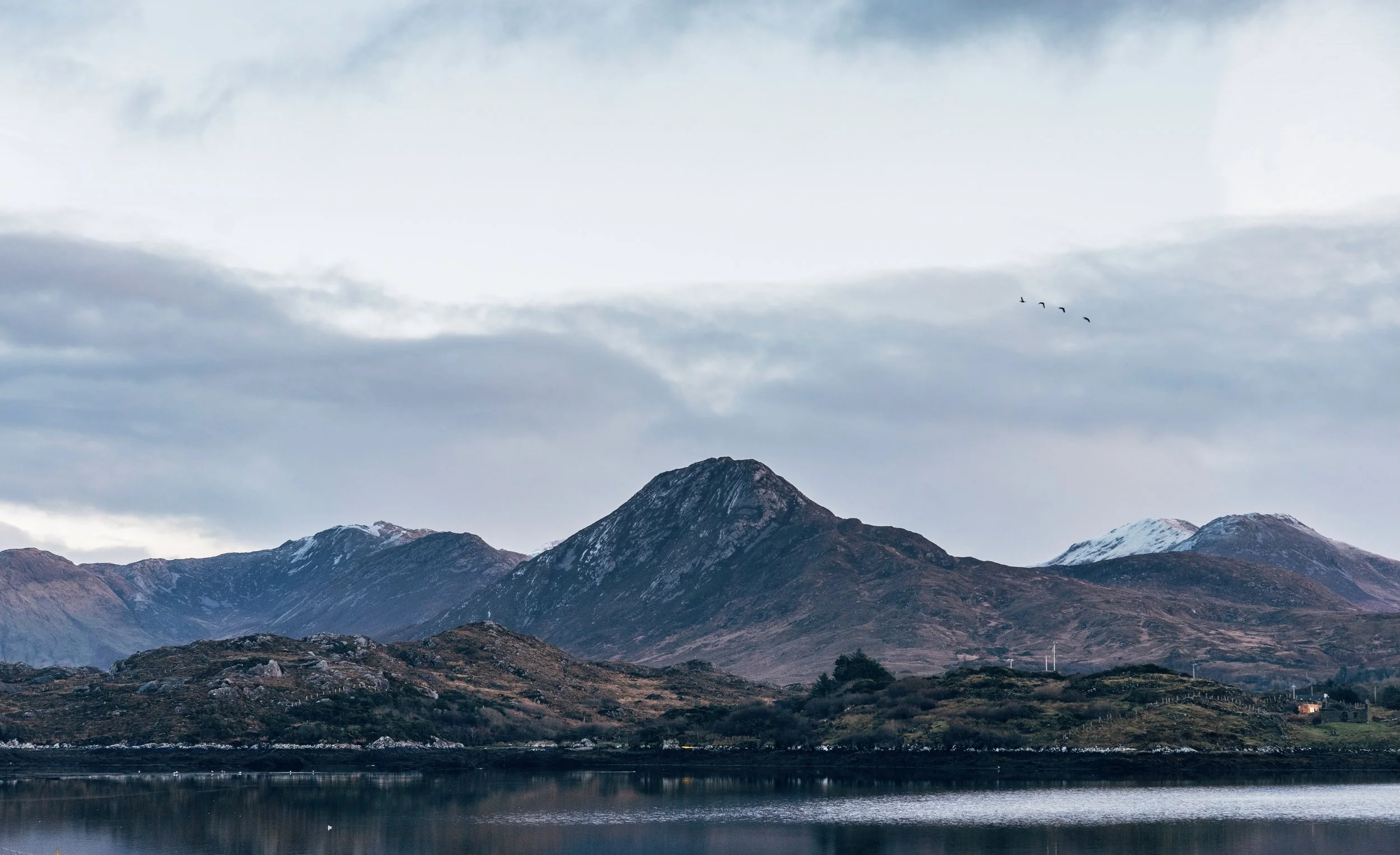 Four the Birds
