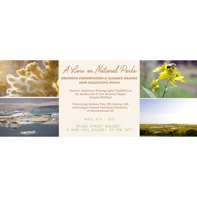 💛⚡️🌏✨🌿 soonish! Every print will be for sale with profits to environmental organizations 🆒 &bull;
&bull;
&bull;
&bull;
#climatechange #nps #photography #exhibition #nationalparks #glaciernp #joshuatree #assateague #shenandoah #filmphotography