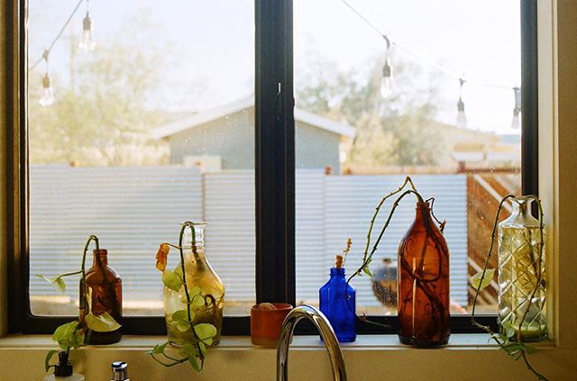 35 mm &bull; twentynine palms , ca &bull;
&bull;
&bull;
&bull;
#filmphotography #earthmonth #plants #home #desert #california #reuse #glass #daytime #southerncalifornia #joshuatree #film #photography #filmisnotdead