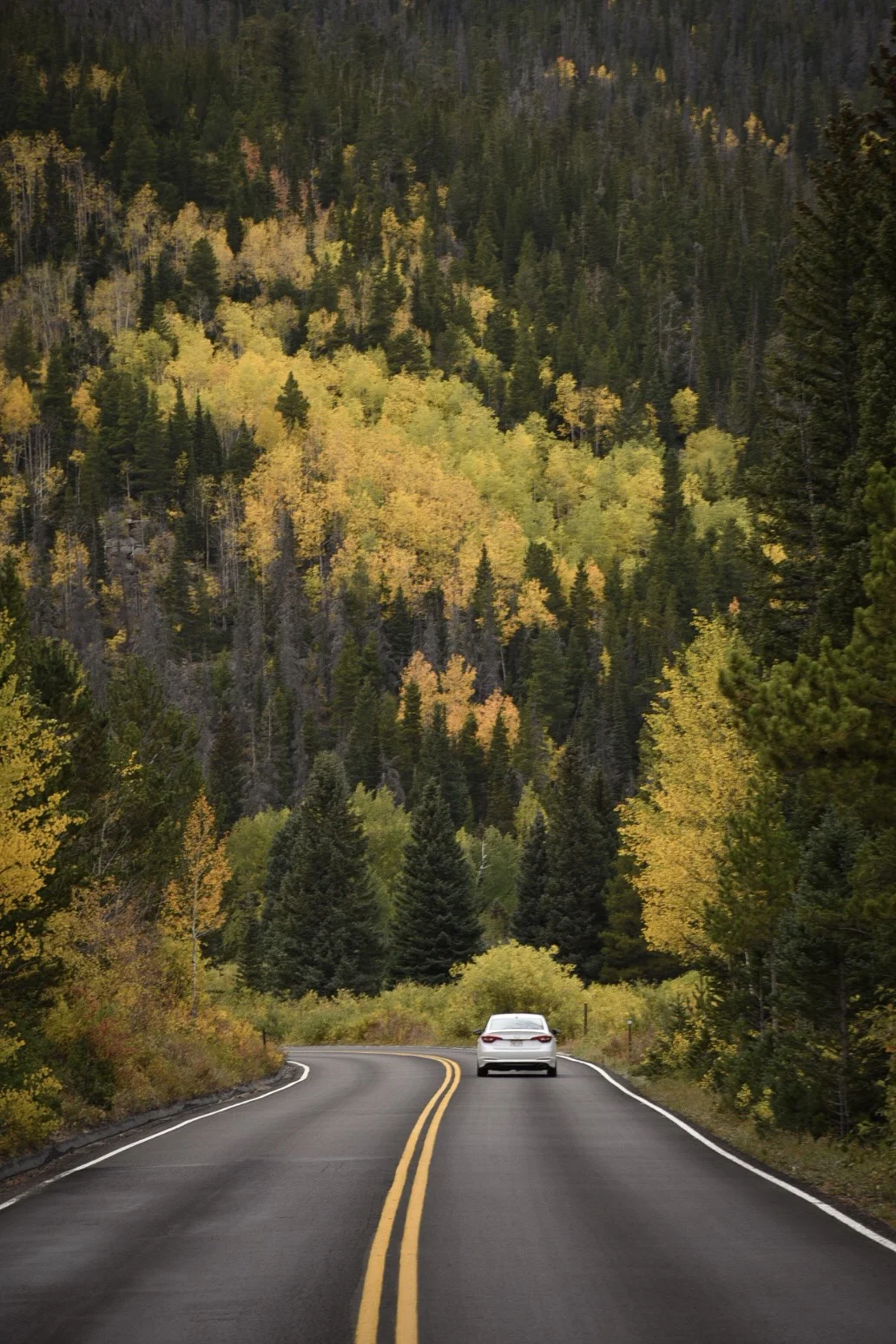  Rocky Mountain National Park 