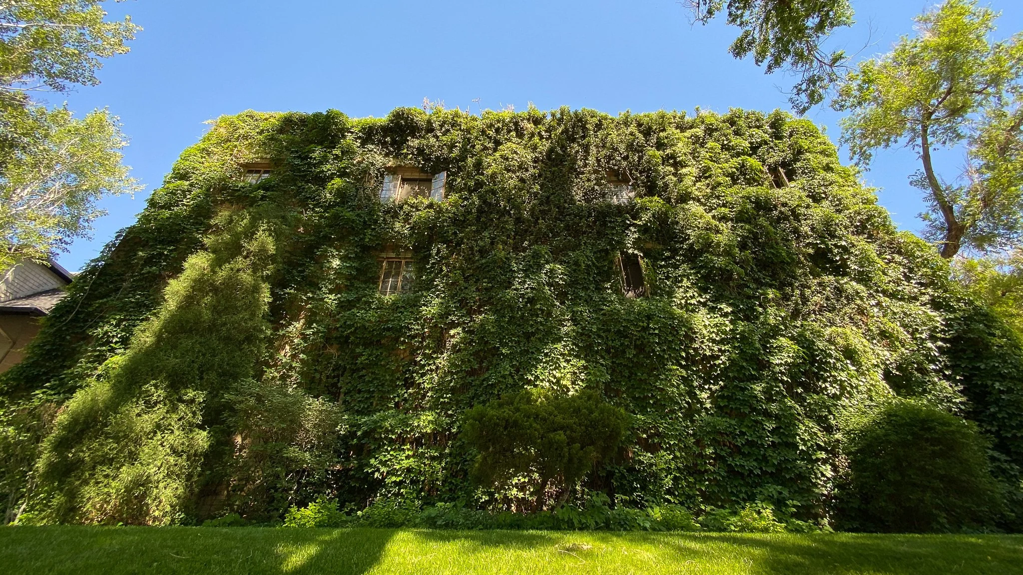  Capitol Hill- Denver 