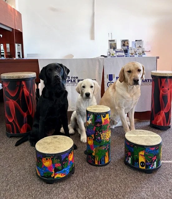 April 10, 2026 Community Drum Circle "Drumming it up with the Pups!" at Paws for Purple Hearts 1657 E. Dowling Rd, Anchorage, AK 99507 7:00pm-8:30pm