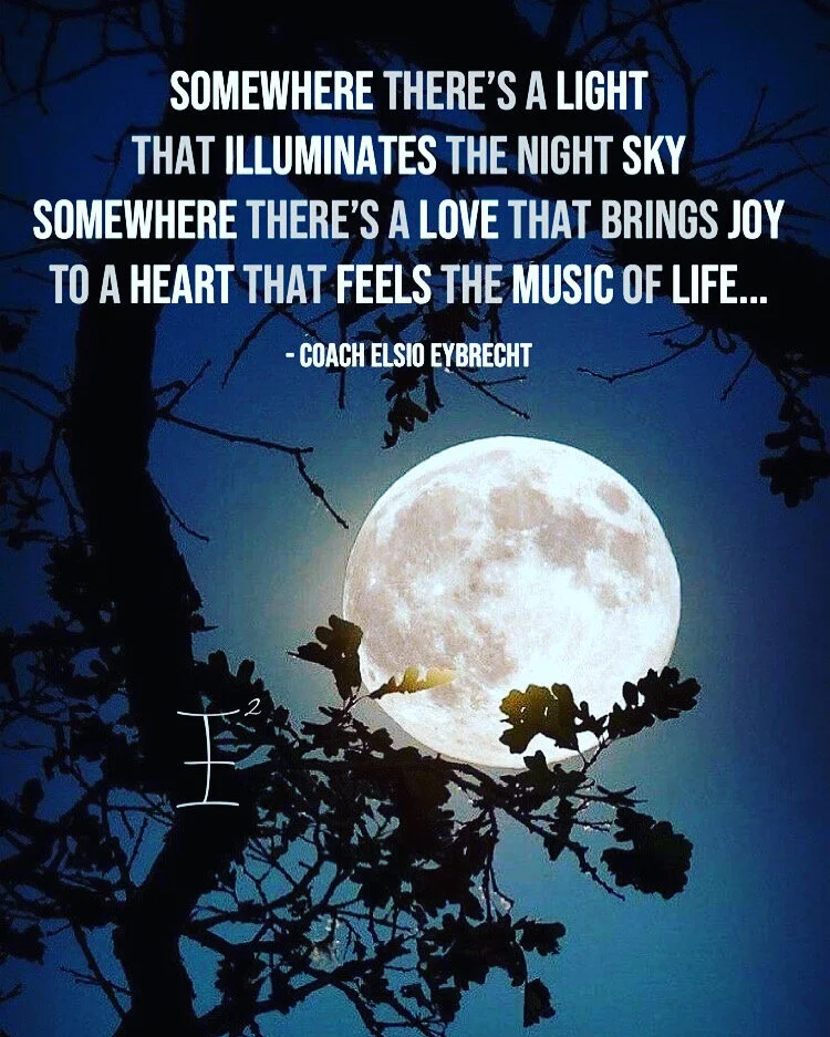 D1C1D306-BBE2-4D9C-BE46-0E21B6A7FC4A 2.JPG