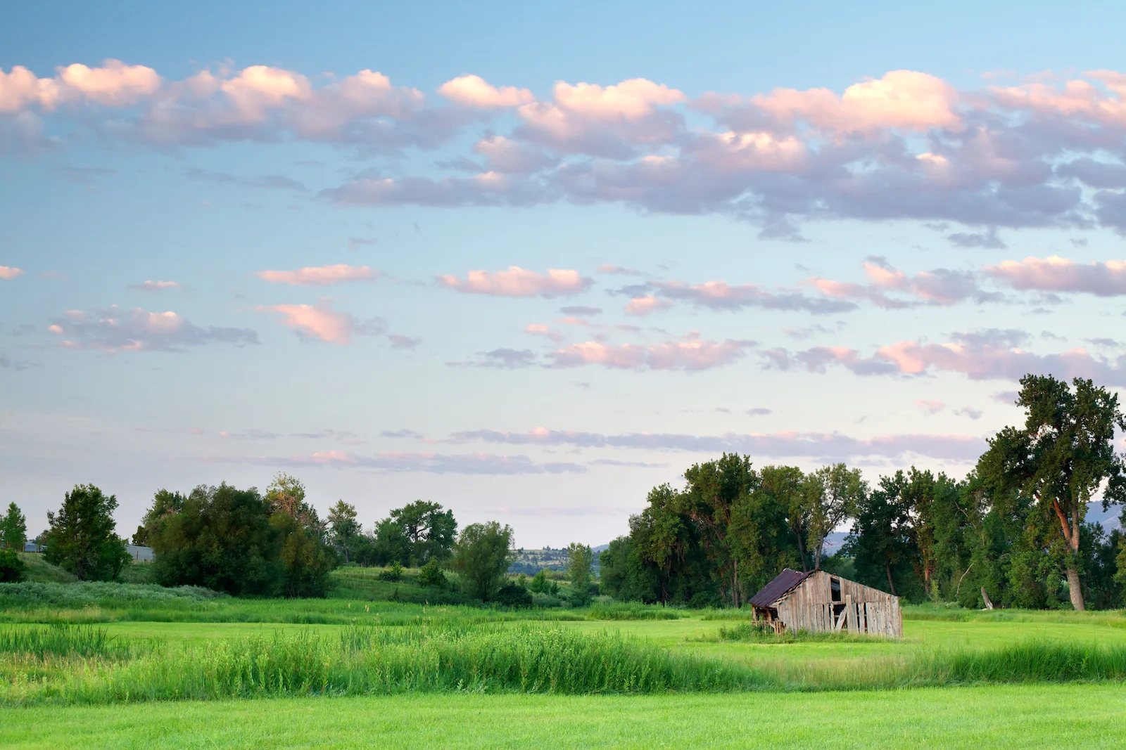 Old Barn and Green Field.jpg