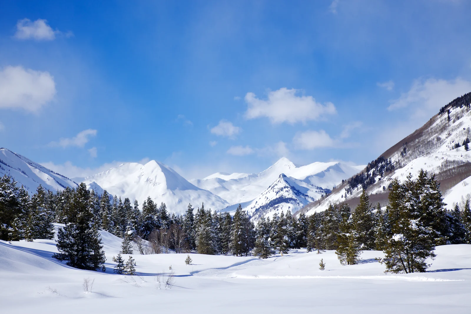 Winter Wonderland.jpg
