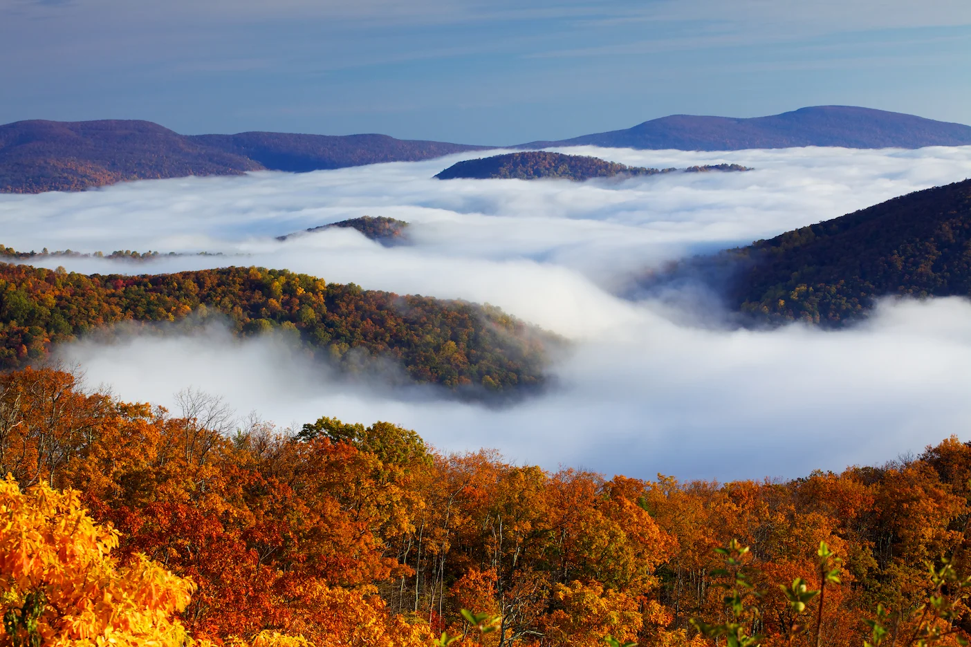 Shenandoah National Park (1).jpg
