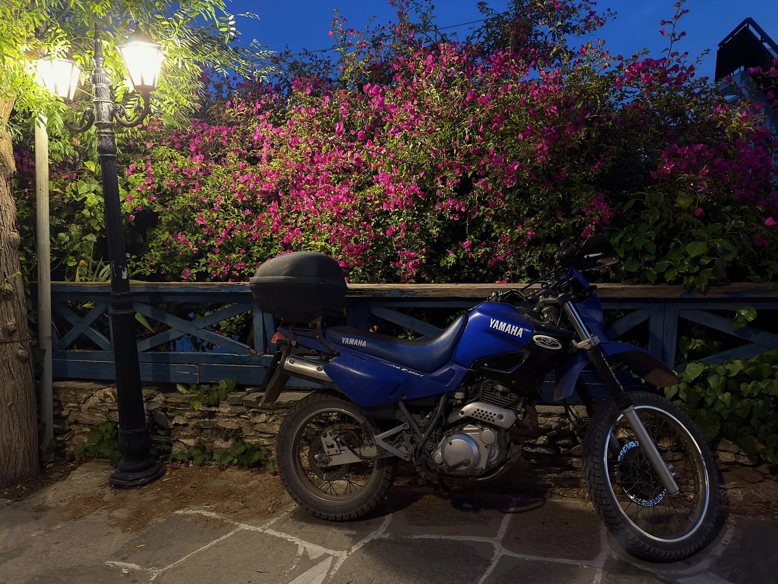 IMG_5936.jpeg
