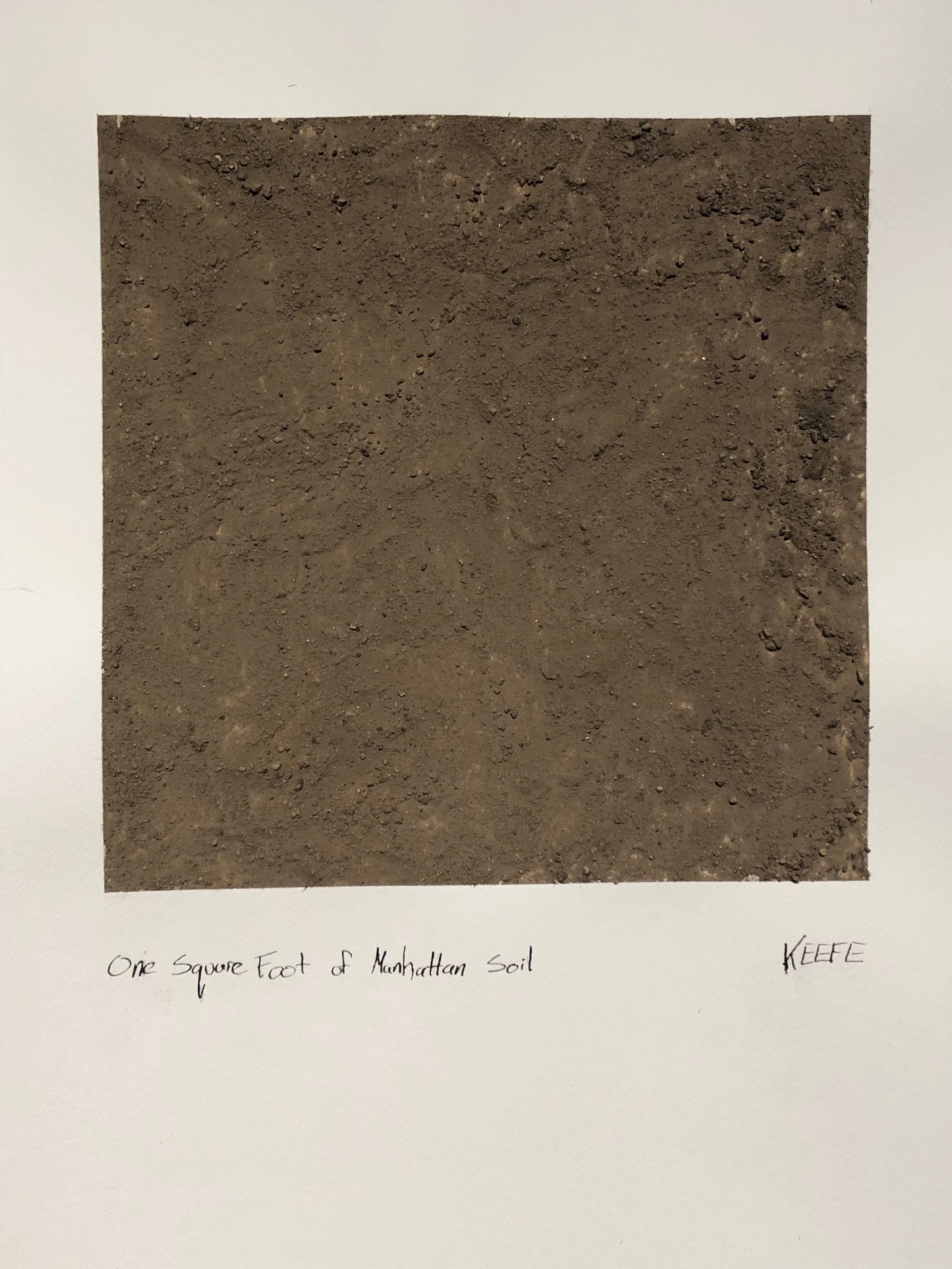 One Square Foot of Manhattan Soil