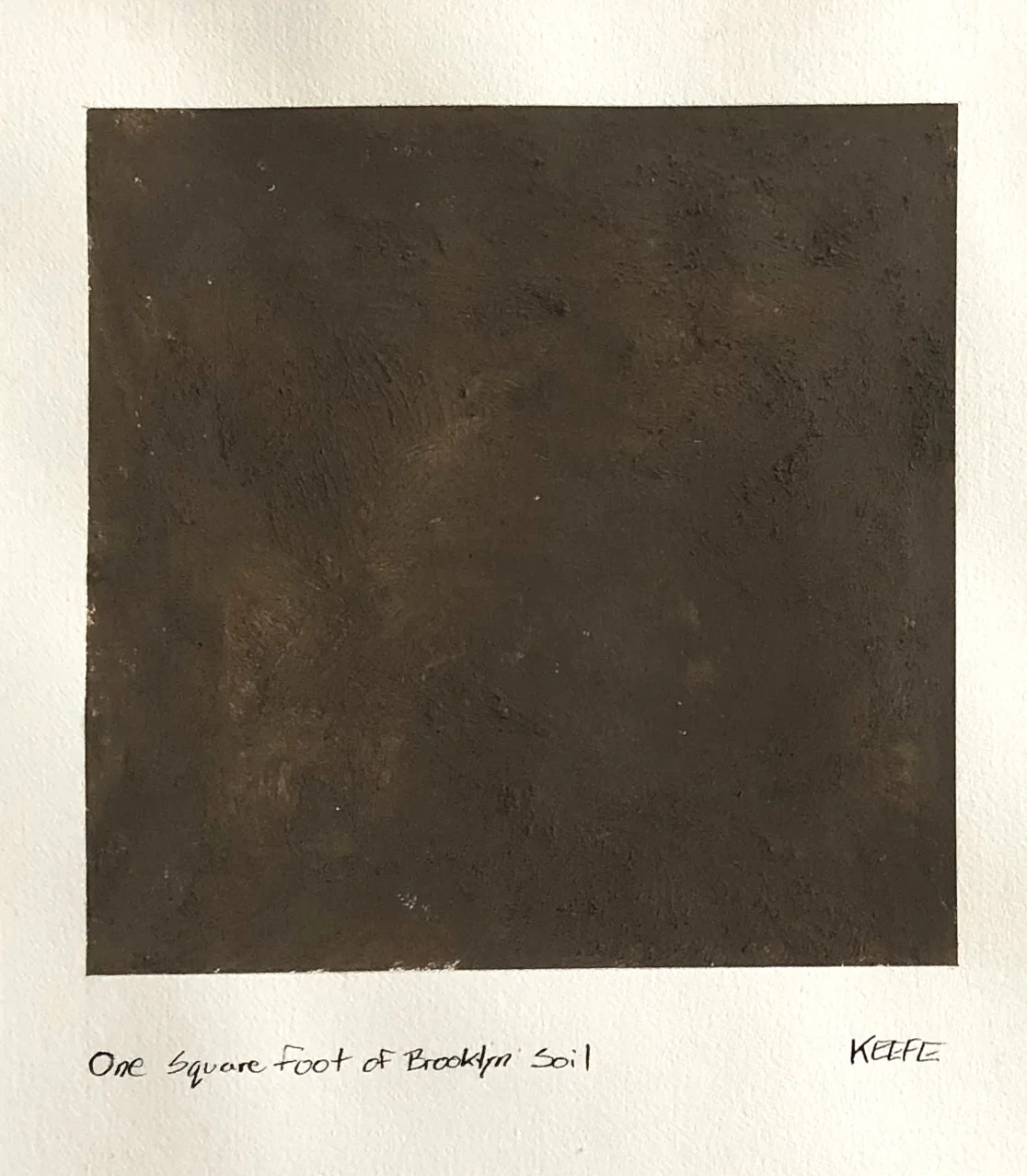 One Square Foot of Brooklyn Soil