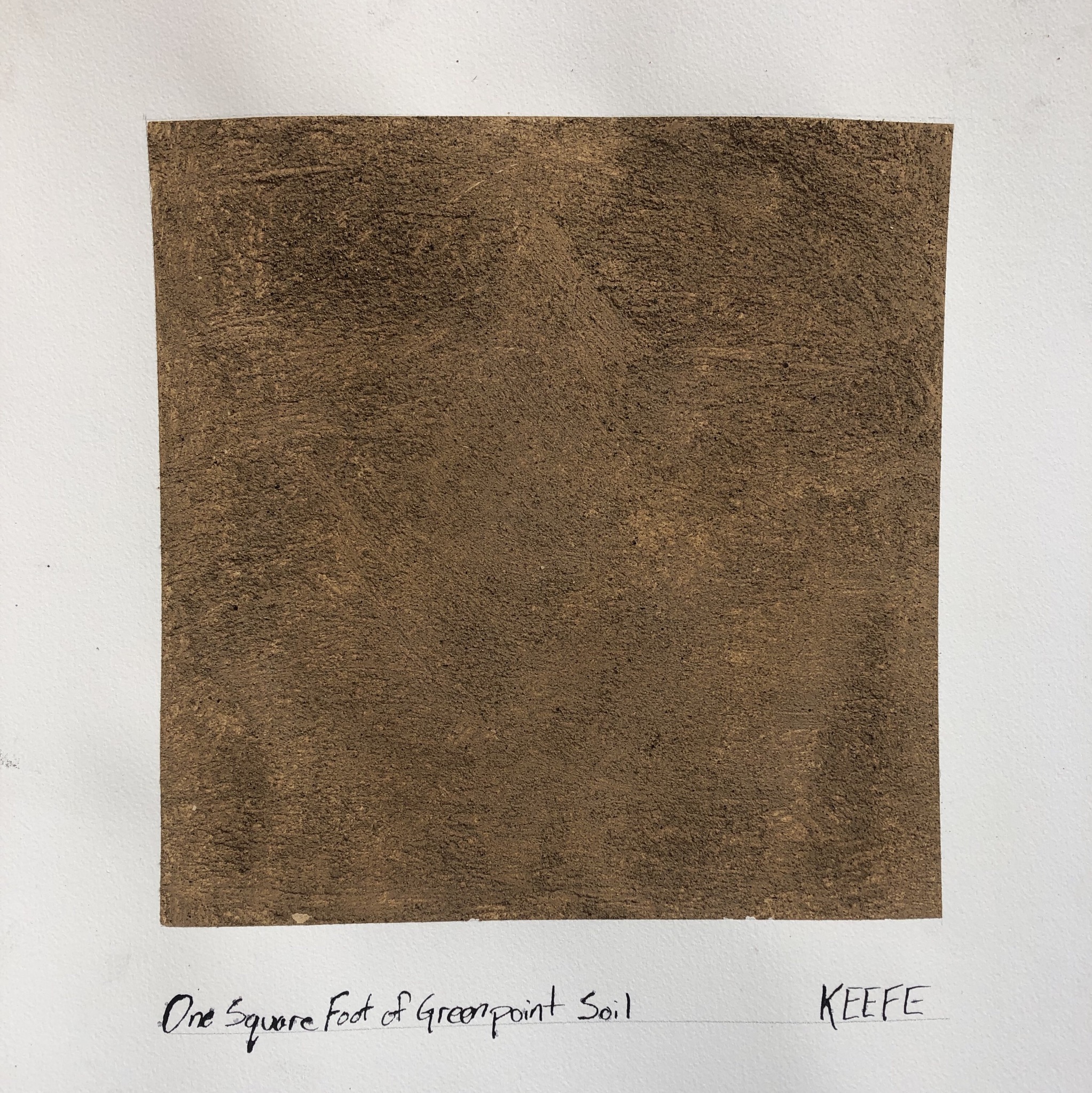 One Square Foot of Greenpoint Soil